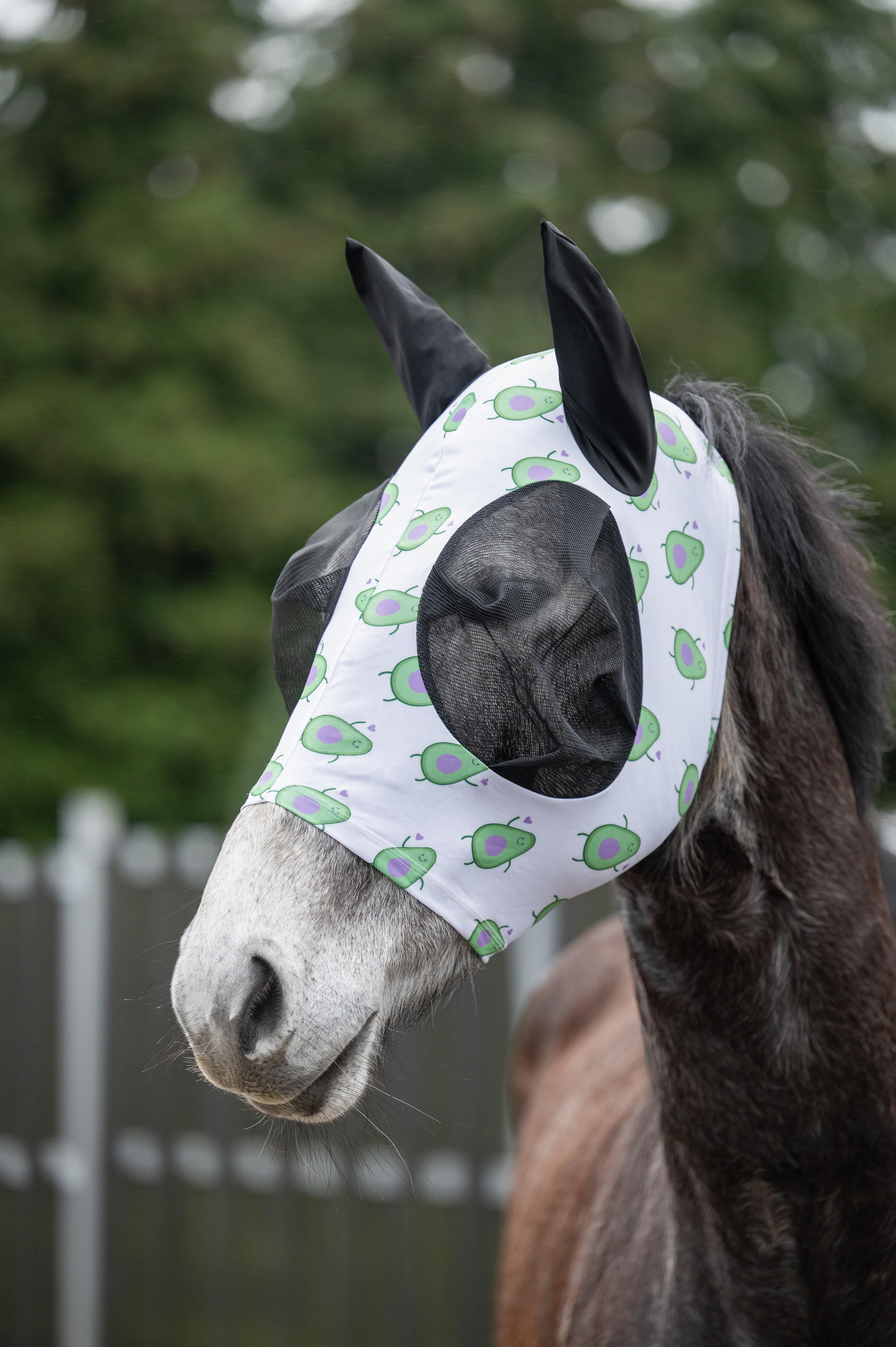 Masque anti-mouches Avocat 4/4