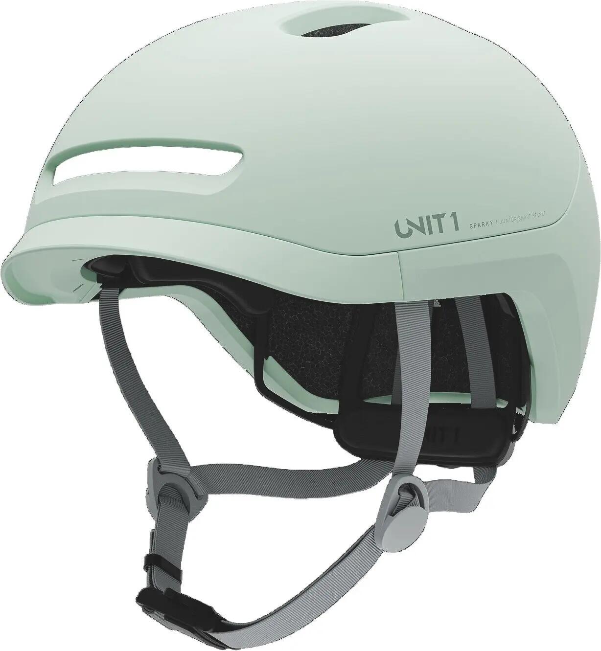 UNIT 1 picture