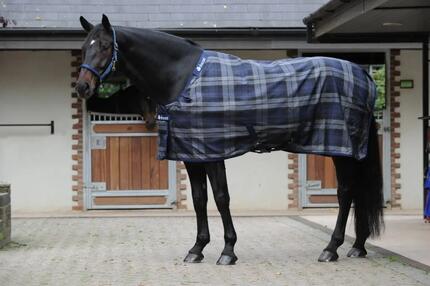 Bucas Celtic Stable Medium