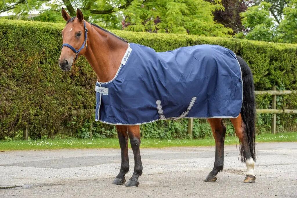 Bucas Celtic Stable Medium 4/15