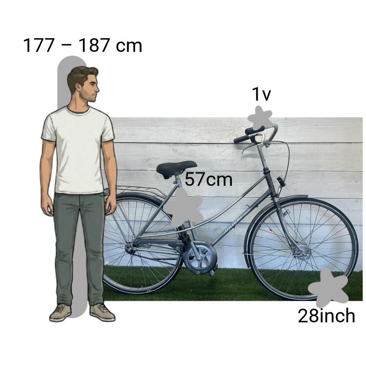 Bicicletta usata Union Flamingo 2/4