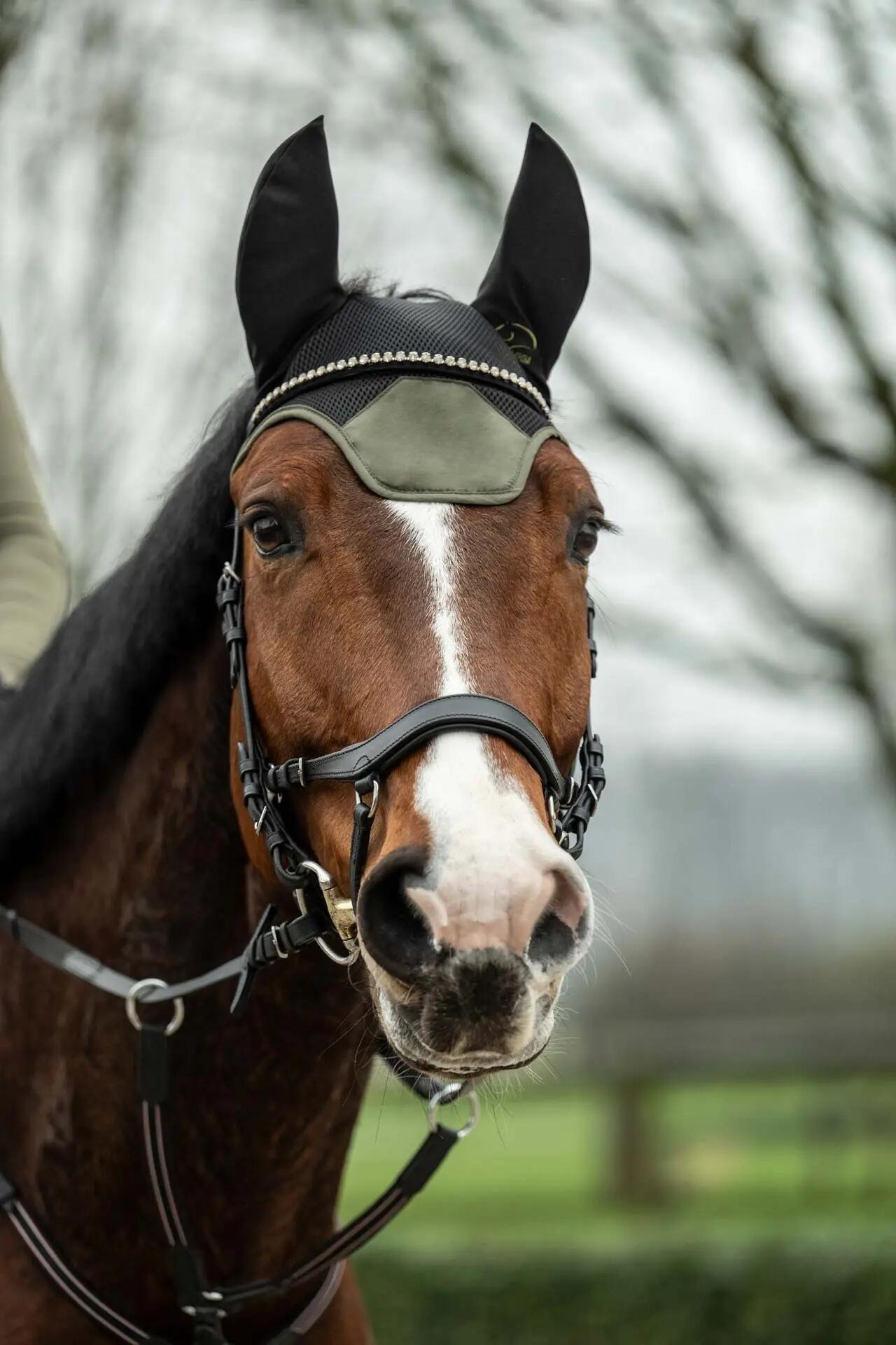 Bonnet court pour cheval HKM Sports 4/6