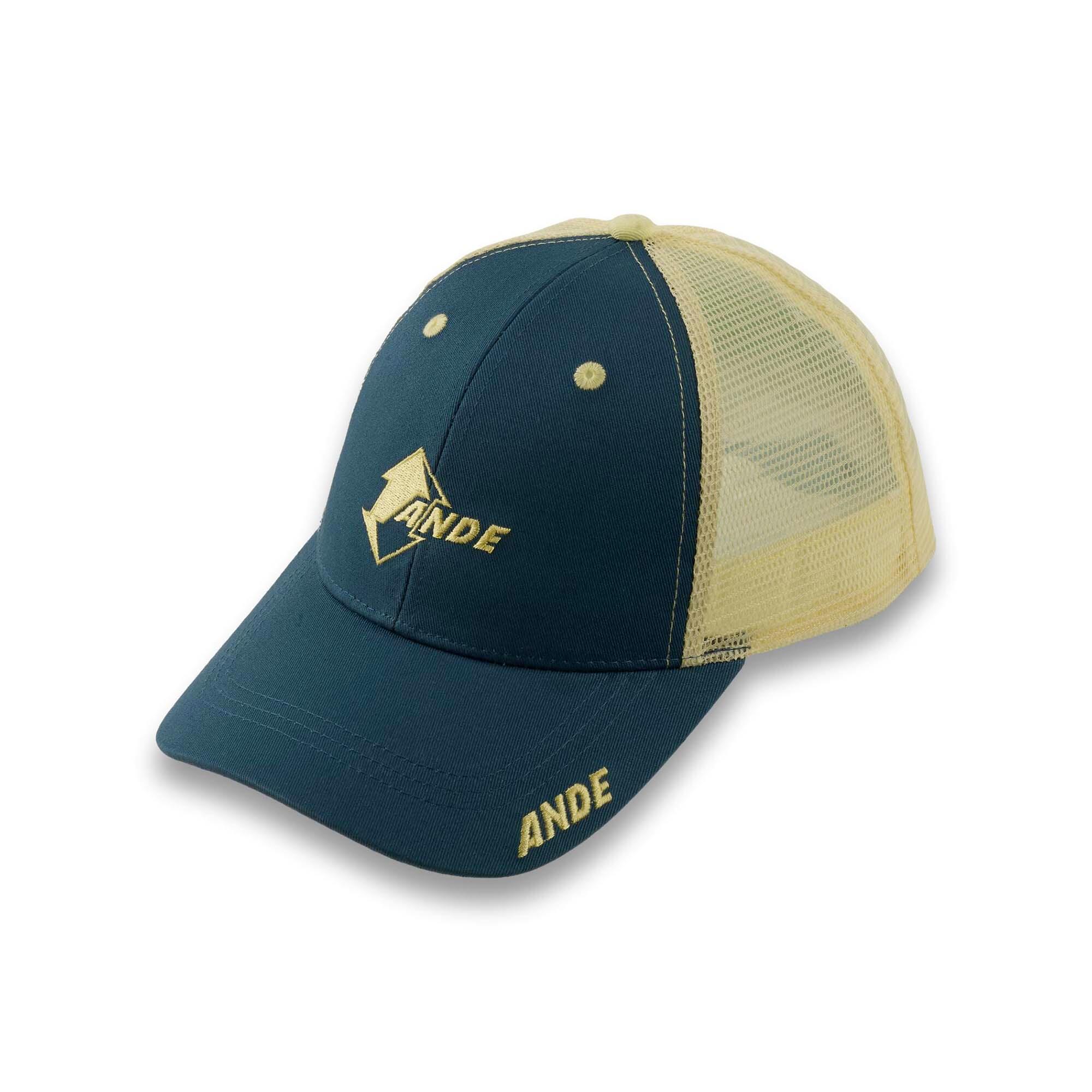 ANDE picture