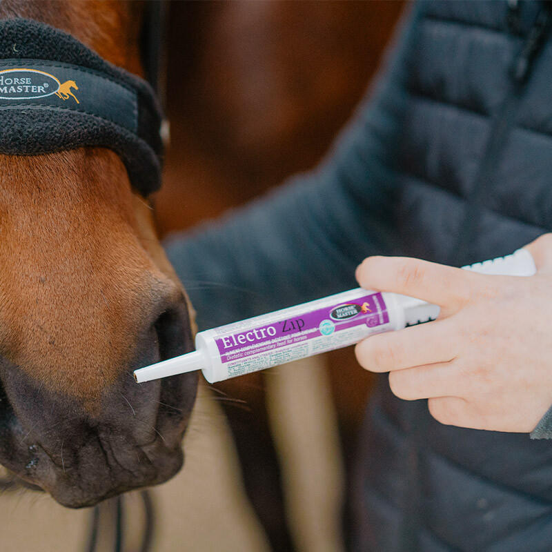 Electro Zip Horse Master seringue 30mL 2/2