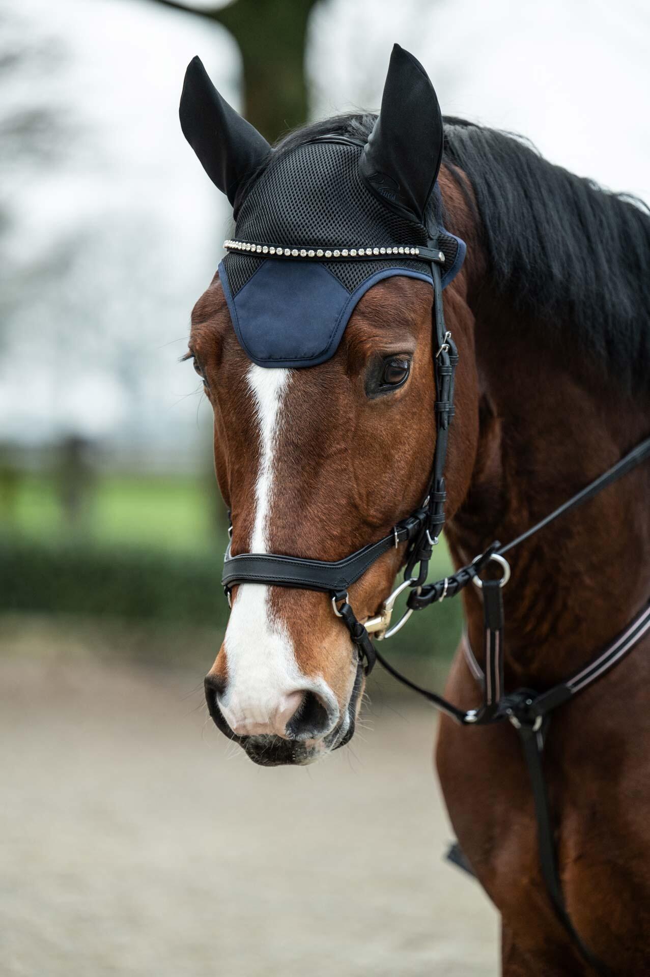 Oornetje Sport 4/6