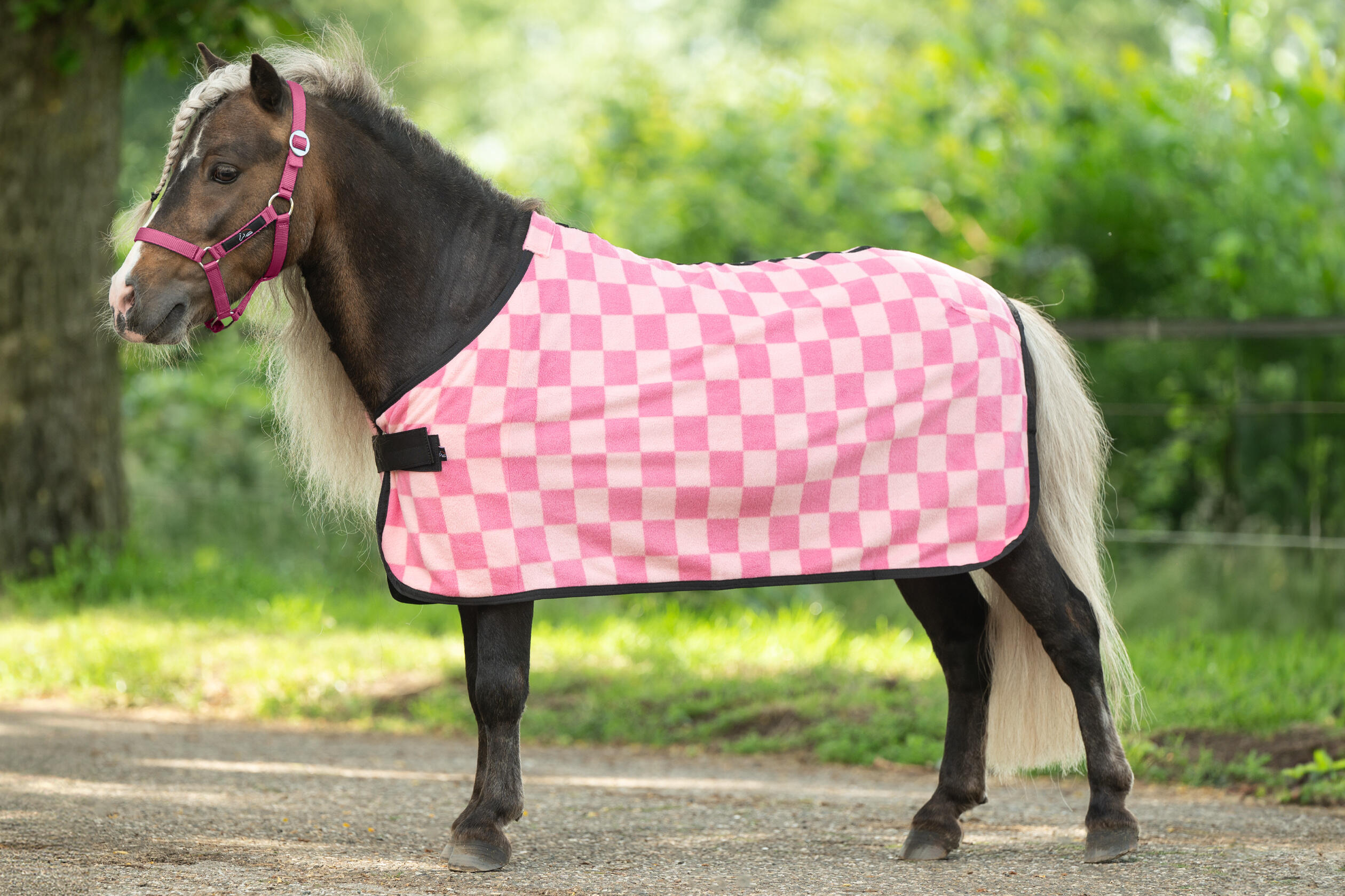 Cooler/zweetdeken Henni voor shetlanders 3/3