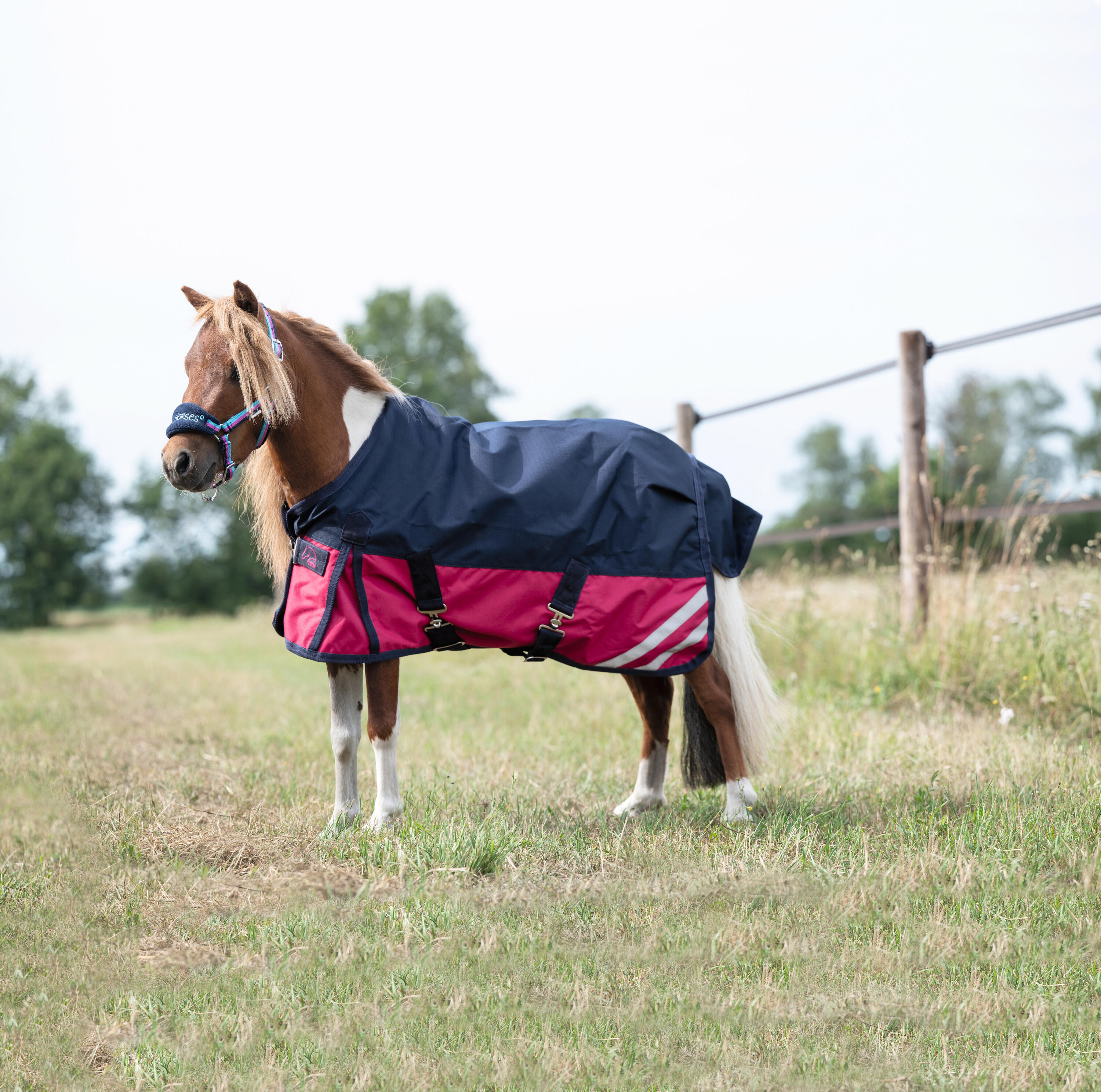 Couverture de pluie HKM Mini 600D 3/3