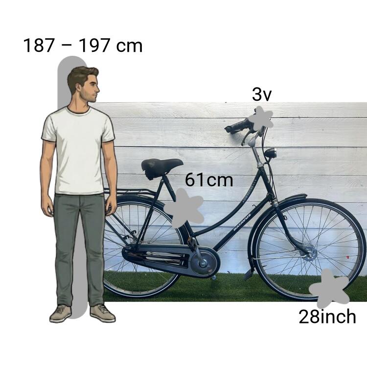 Bicicletta usata Batavus Florence 2/4