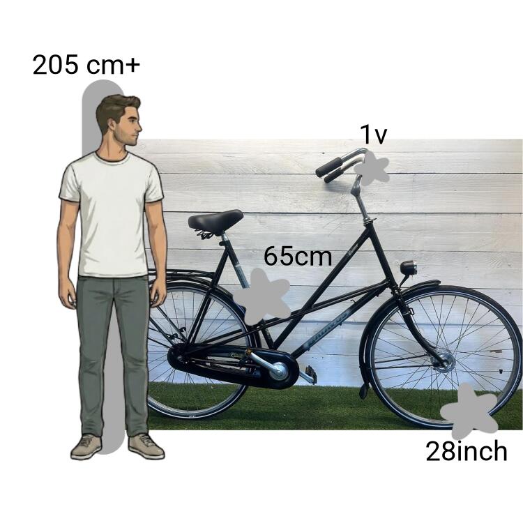 Bicicletta usata Batavus Stabilo 2/4
