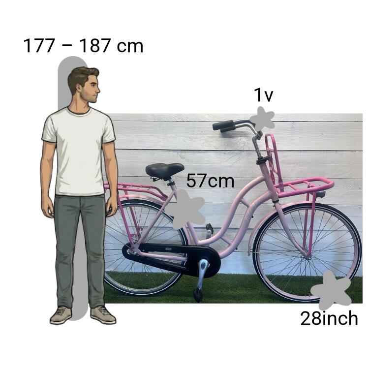 Bicicletta usata Sparta Lo La Jo 2/4