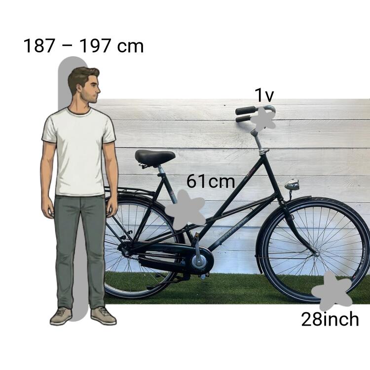 Bicicletta usata Batavus Stabilo 2/4