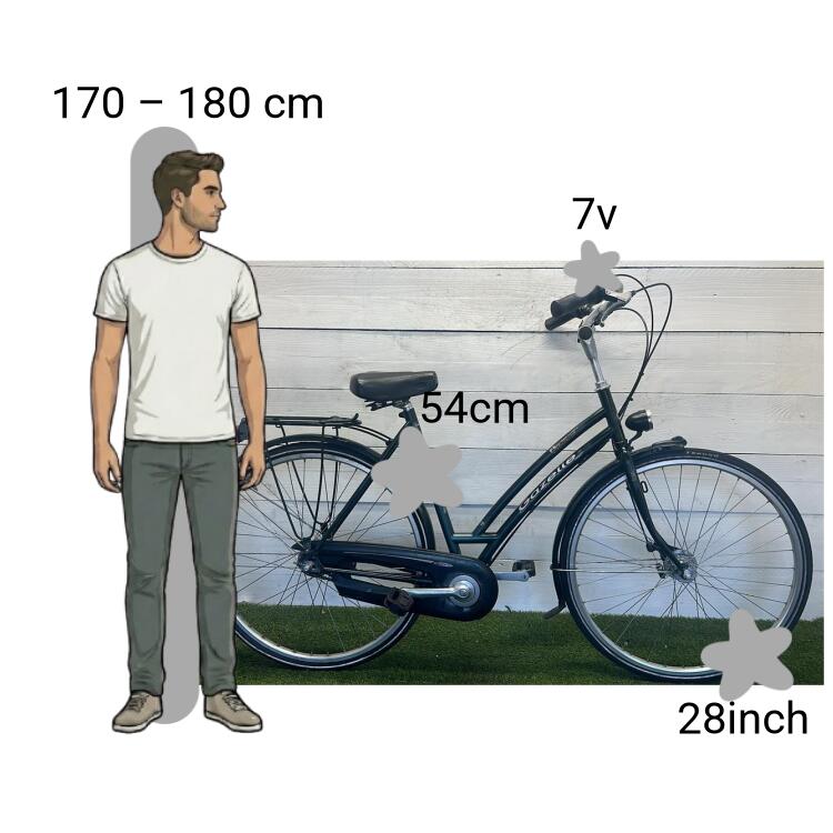 Bicicletta usata Gazelle 2/4