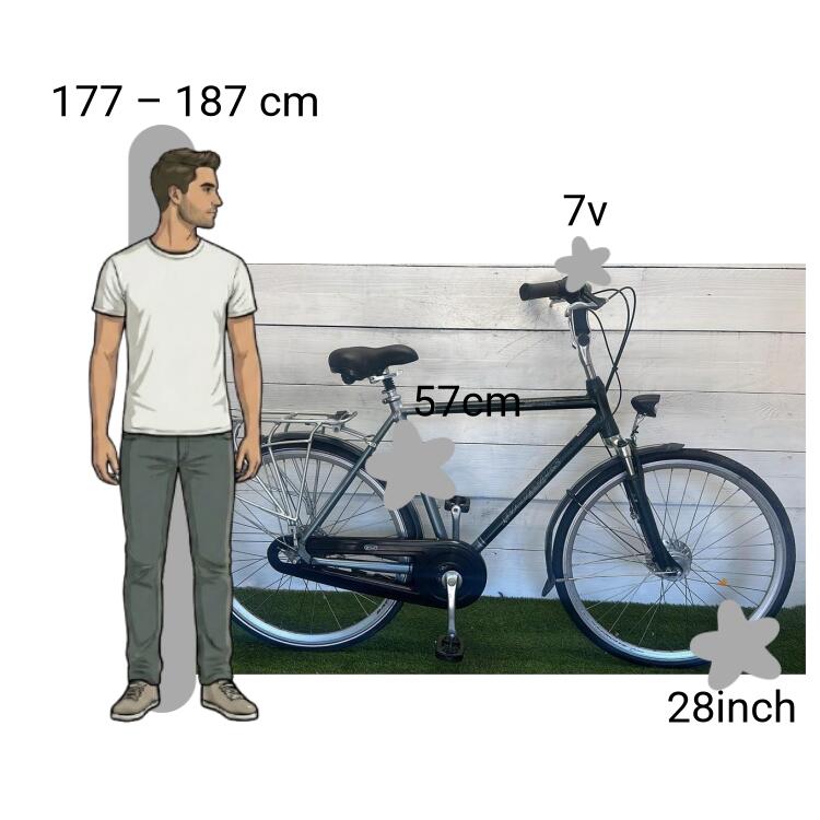Bicicletta usata Batavus Staccato 2/4