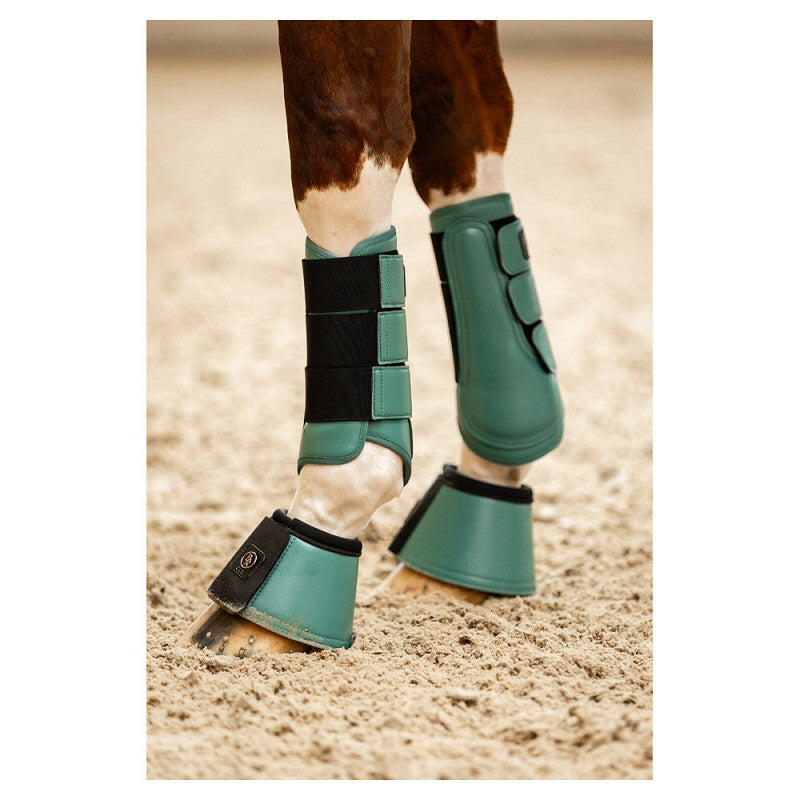 BR CLX Majestic beenbeschermers 3/3