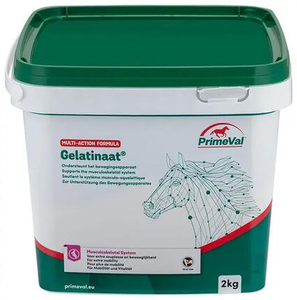Gelatinaat Pferd – PrimeVal