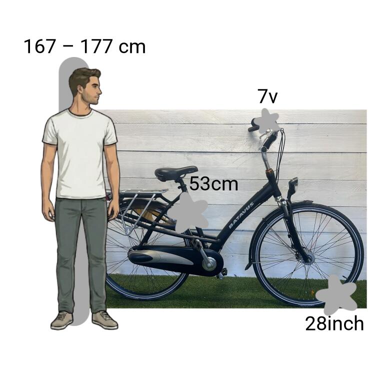 Bicicletta usata Batavus Mambo 2/4