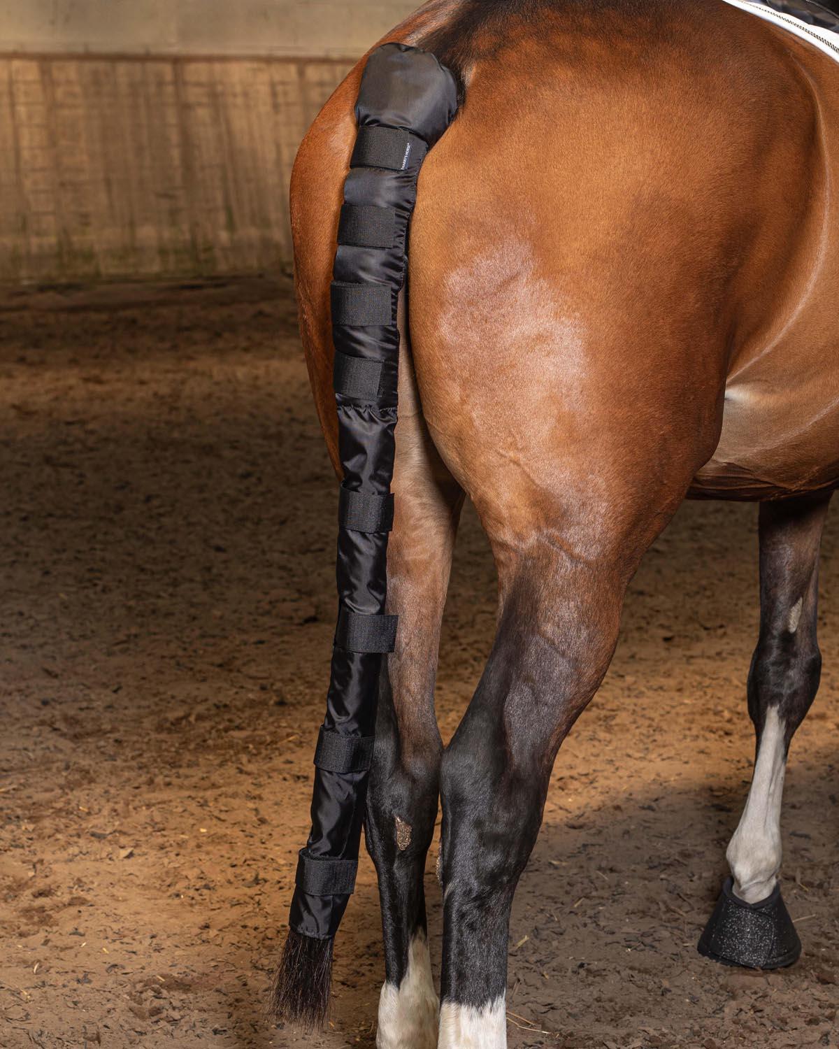 HARRYS HORSE picture