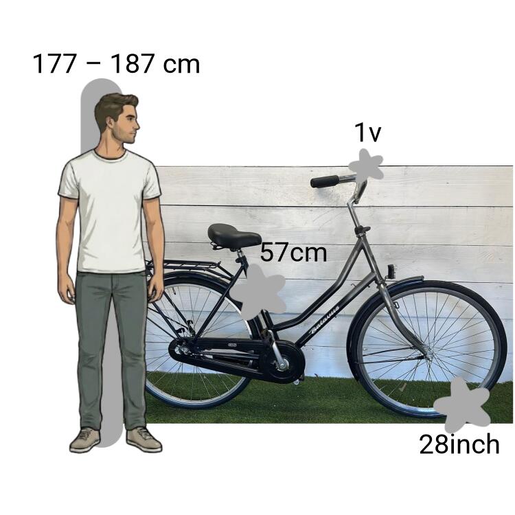 Vélo d’occasion Batavus Holiday 2/4