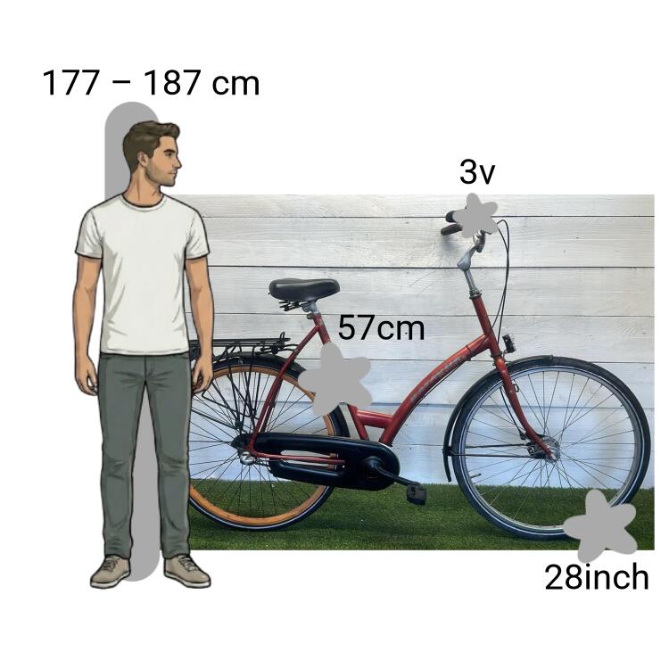 Bicicletta usata Batavus Genova 2/4