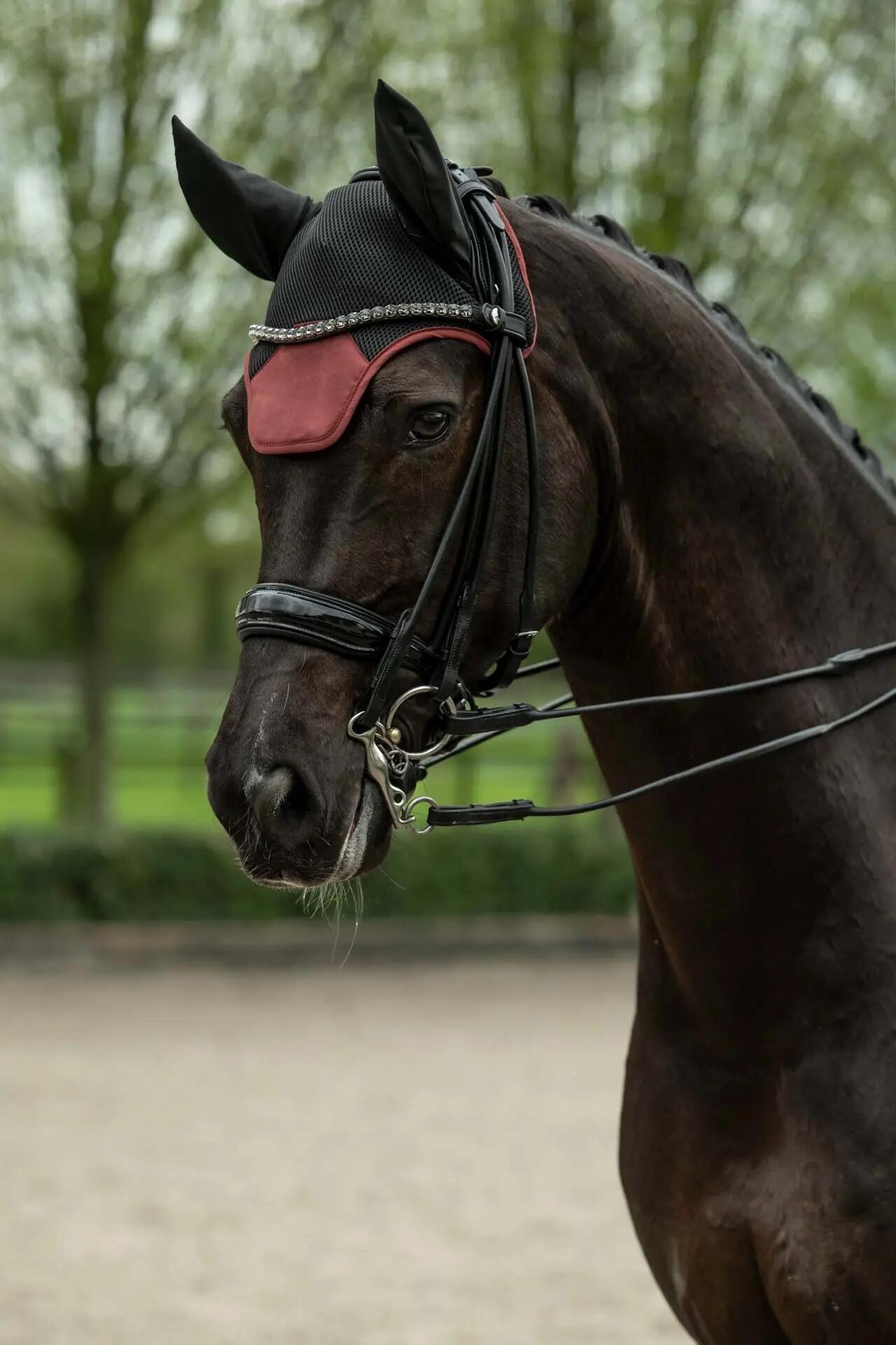 Bonnet court pour cheval HKM Sports 5/5