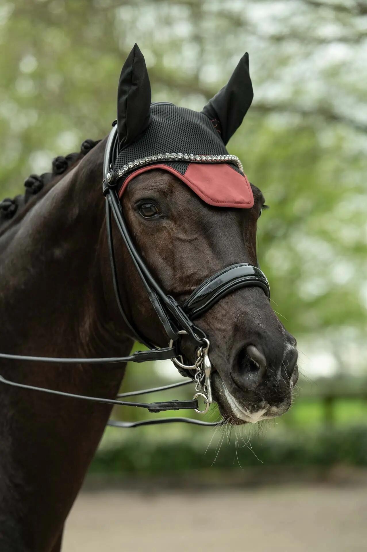 Bonnet court pour cheval HKM Sports 4/5