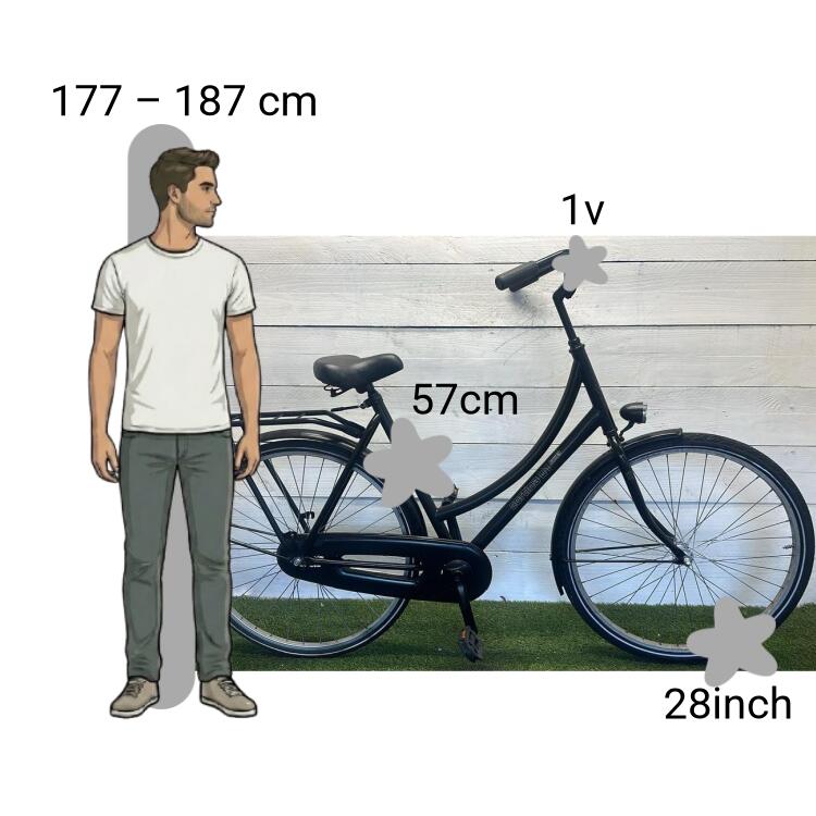 Bicicletta usata Cortina U1 2/4