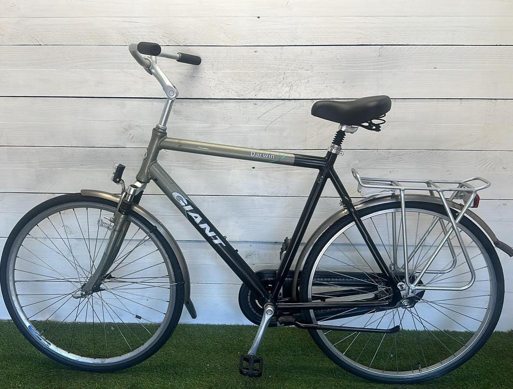Bicicletta usata Giant Darwin 4/4