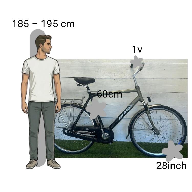 Bicicletta usata Giant Darwin 2/4