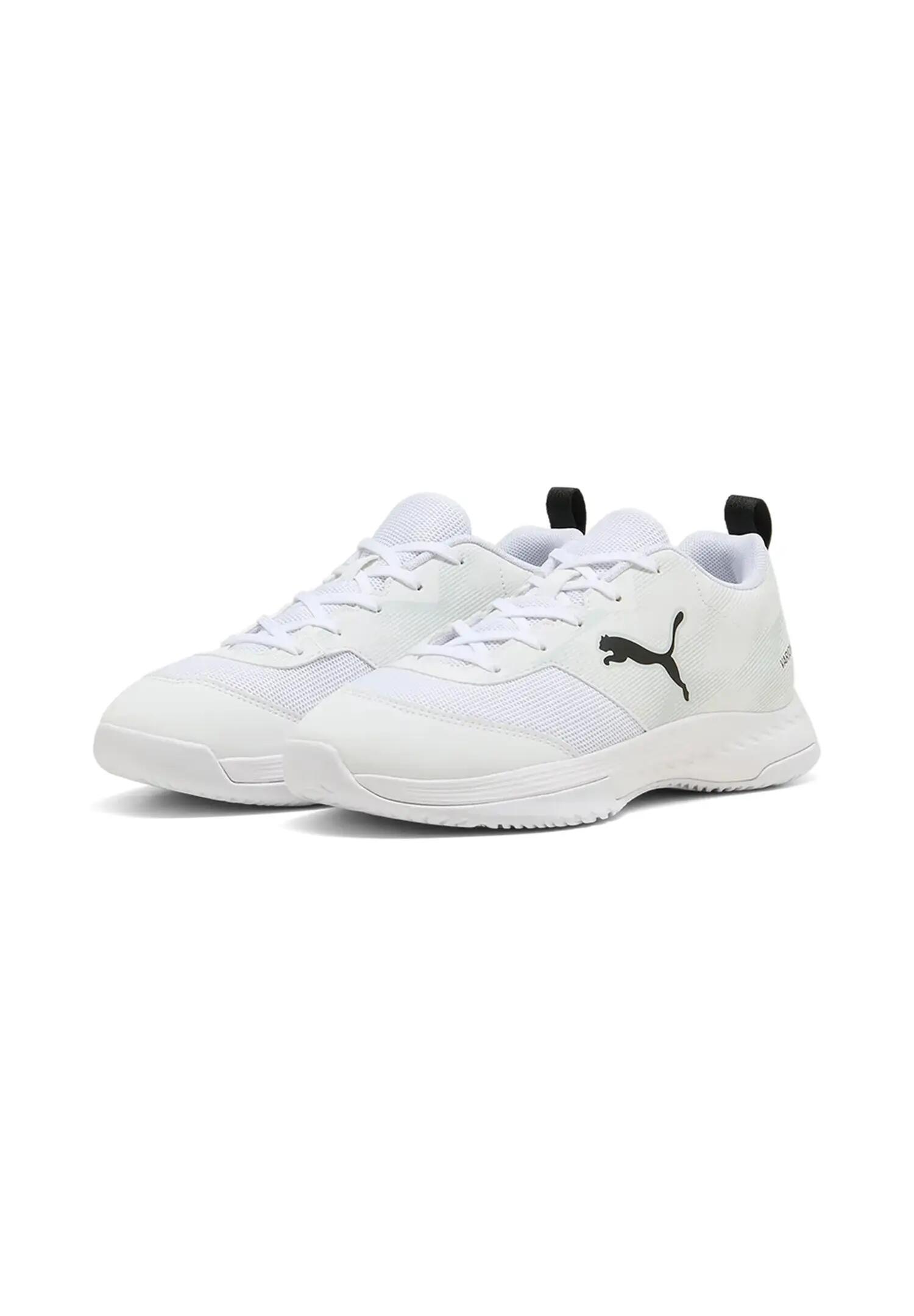 PUMA picture
