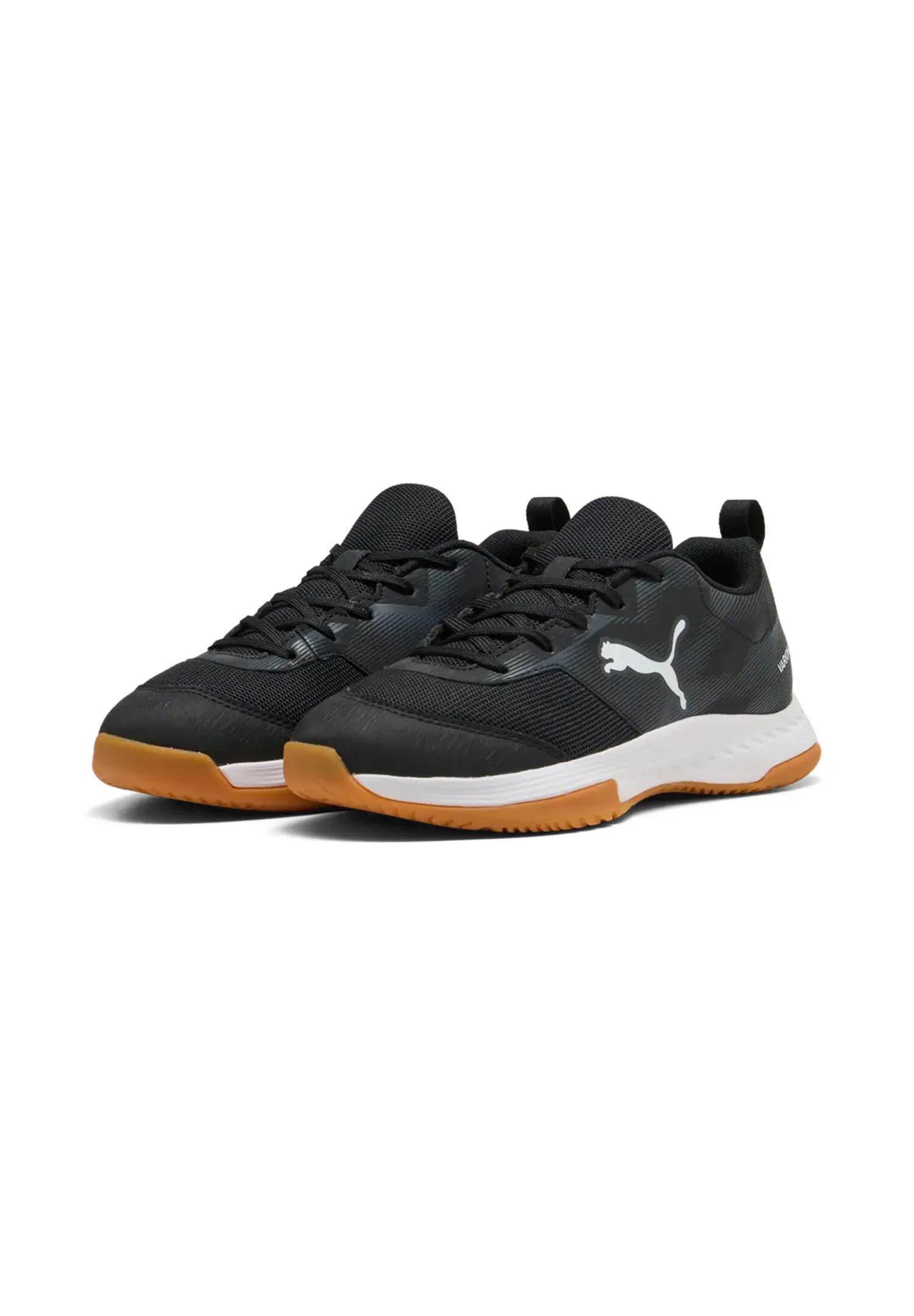 PUMA picture