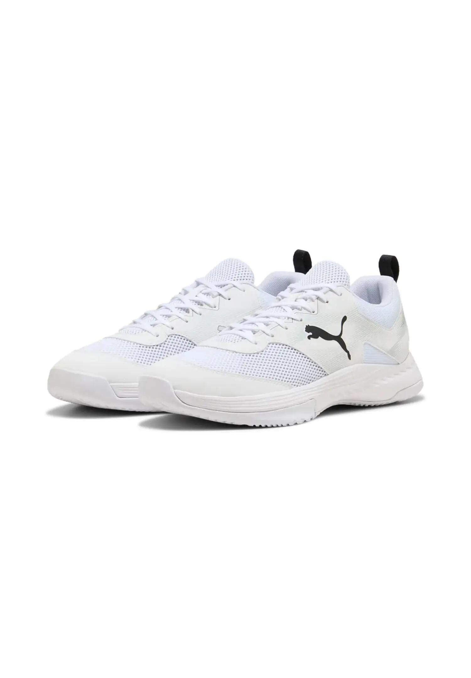 PUMA picture