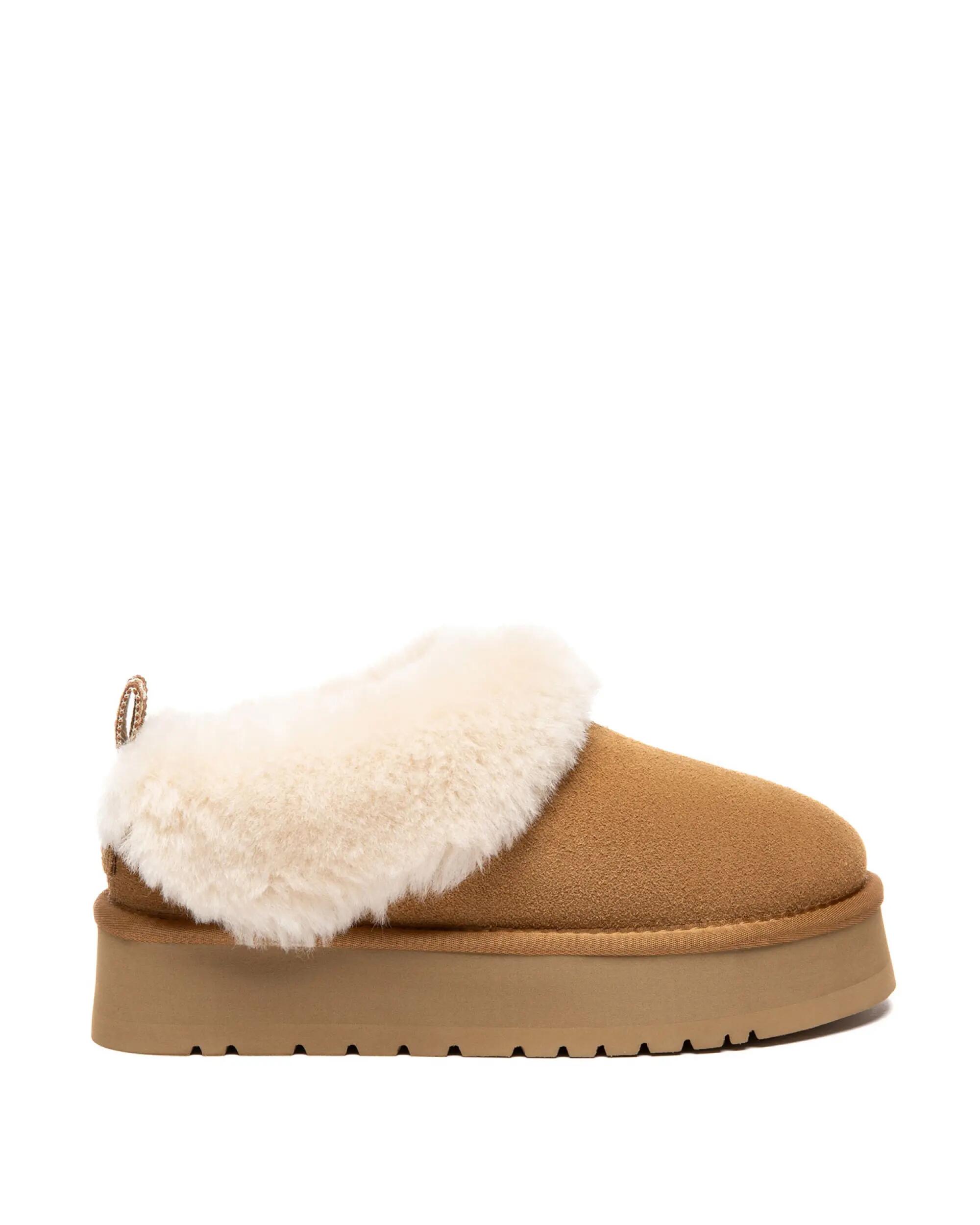 Australian Shepherd UGG Womens Glacial Slippers