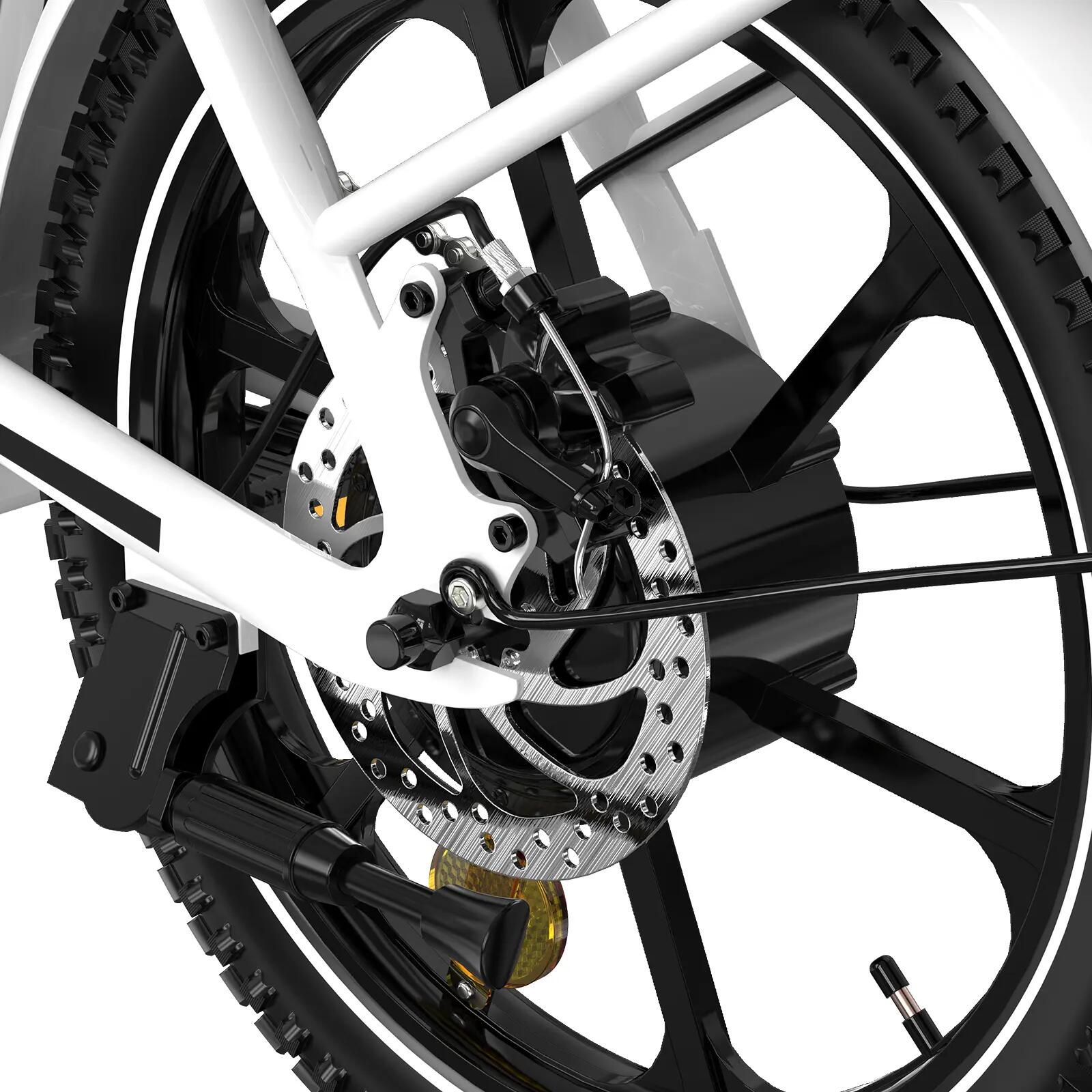Bicicleta eléctrica plegable 16" 250W batería 36V 12Ah BK5S 5/6