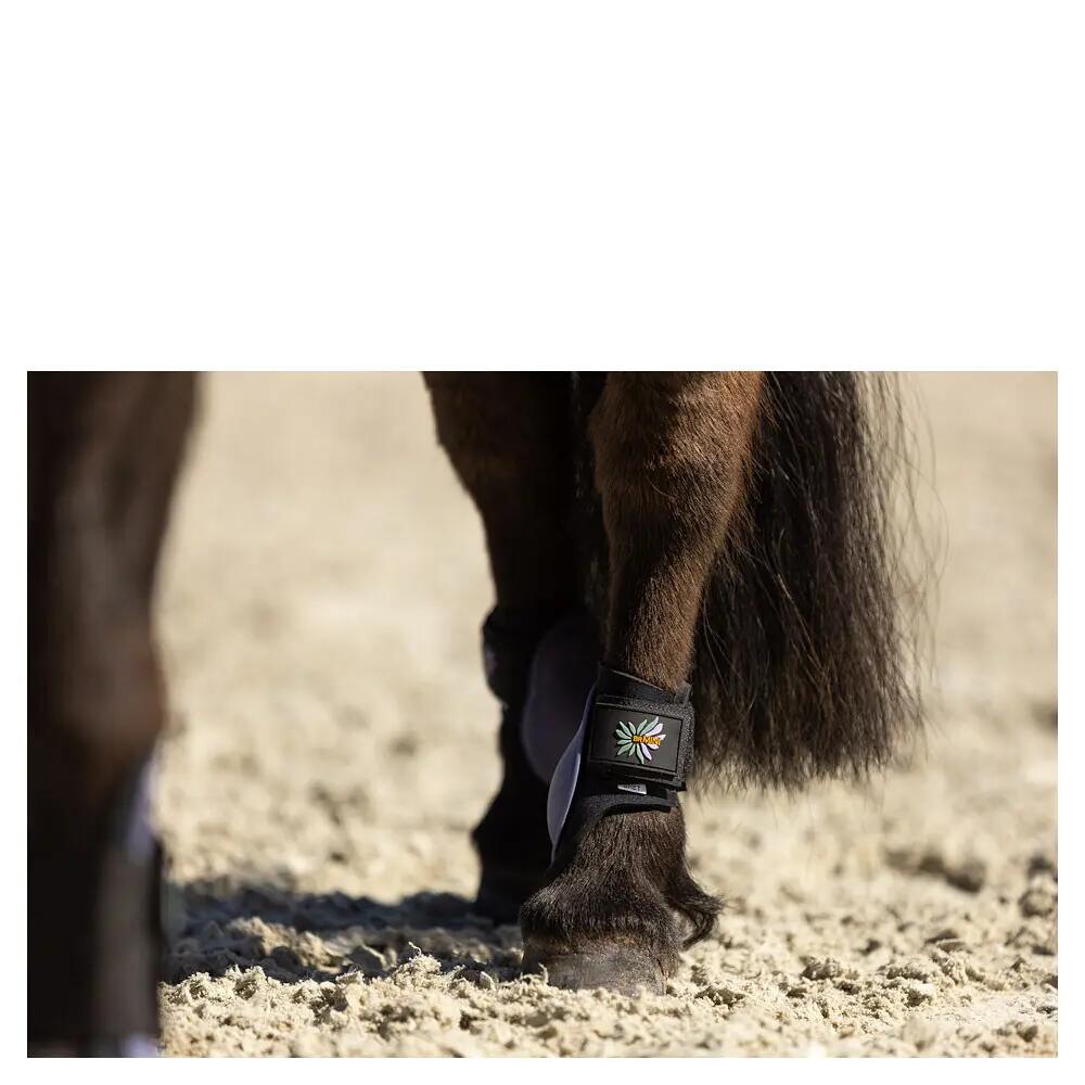 Protège-jambes BR Mini Horse 2/2