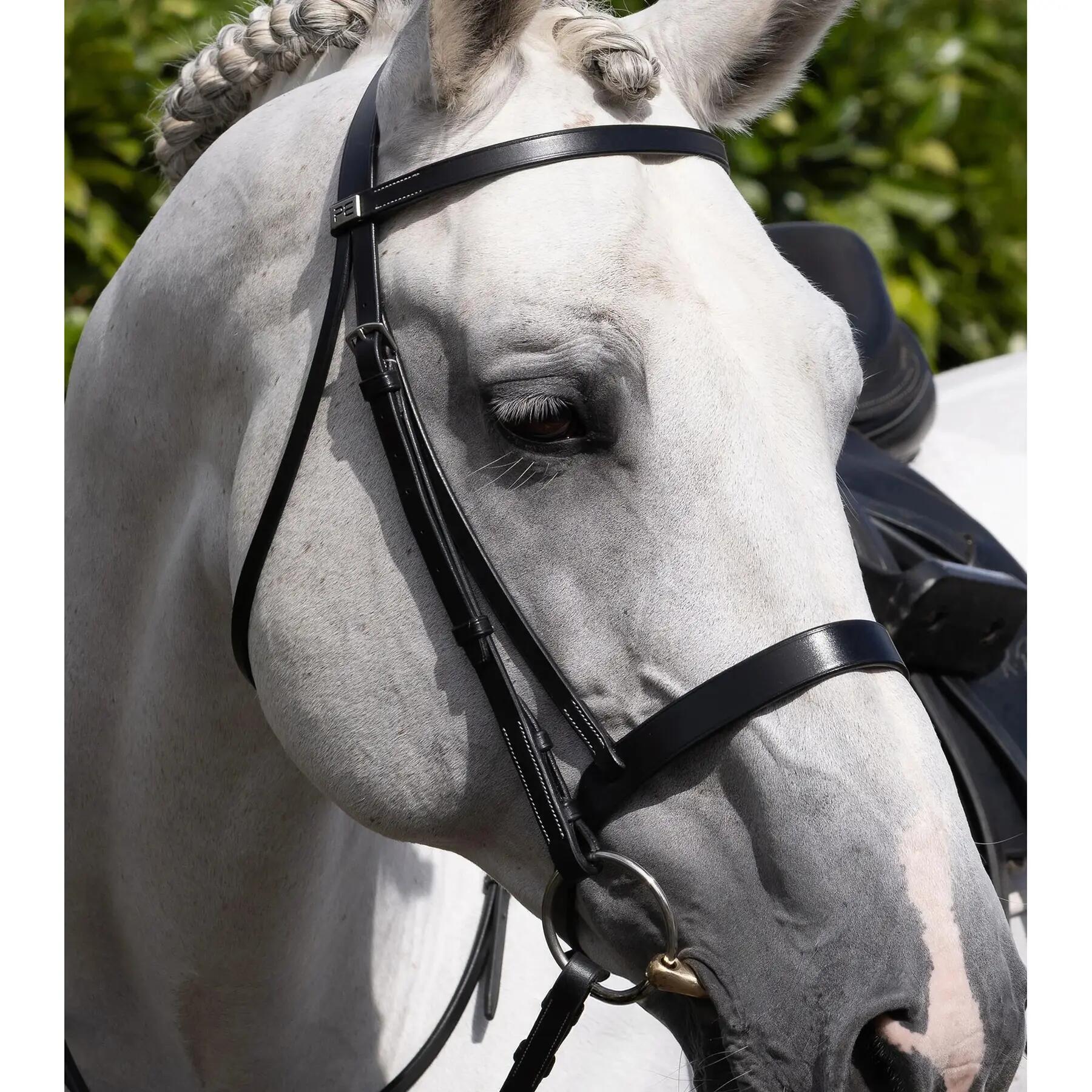 Montante netto Premier Equine Hunter 4/4