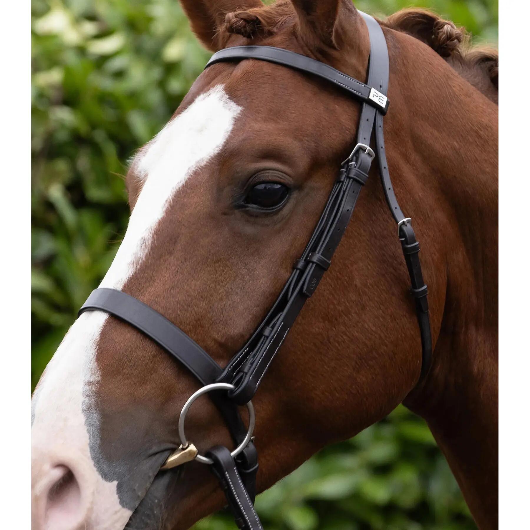 Montante netto Premier Equine Hunter 4/4