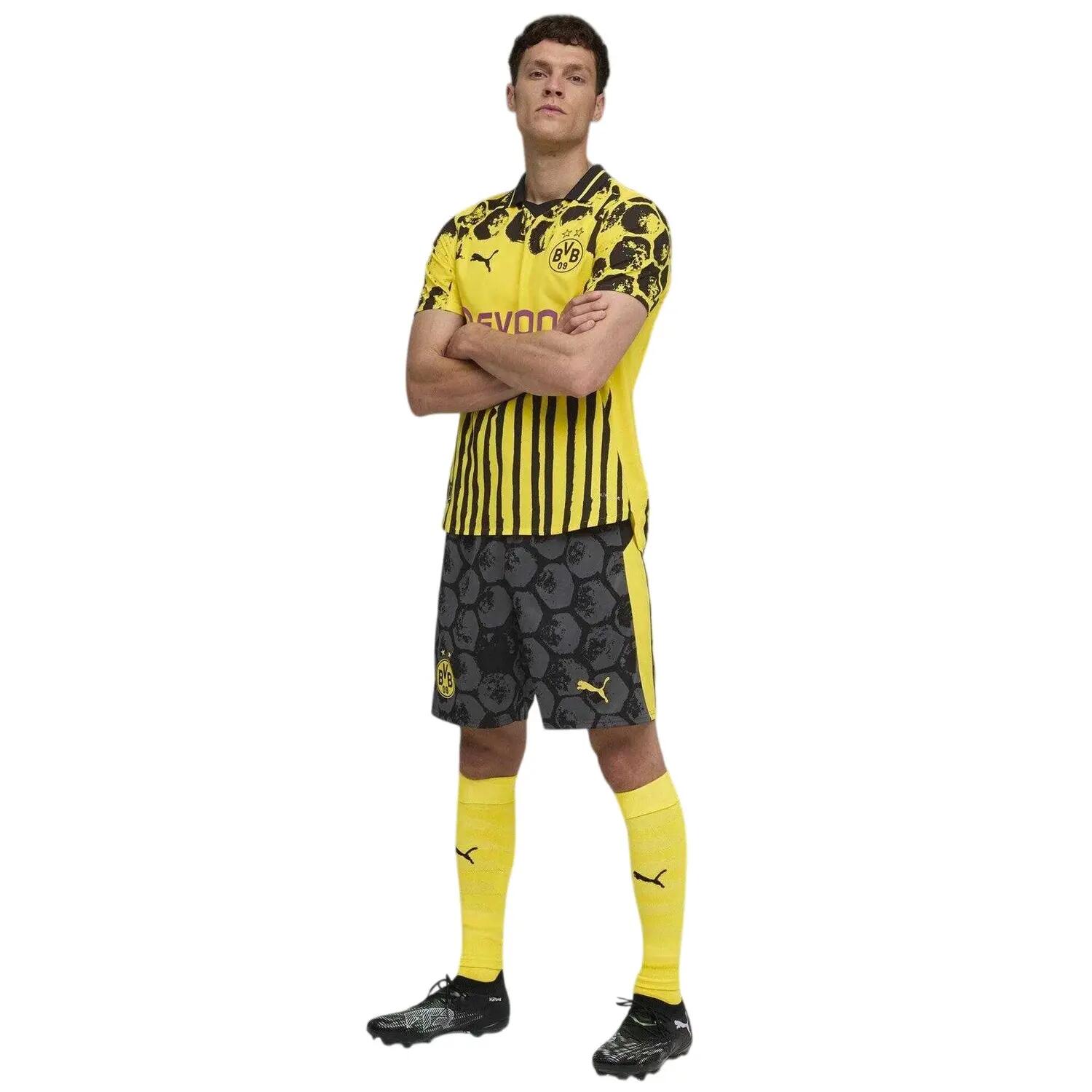 BORUSSIA DORTMUND picture