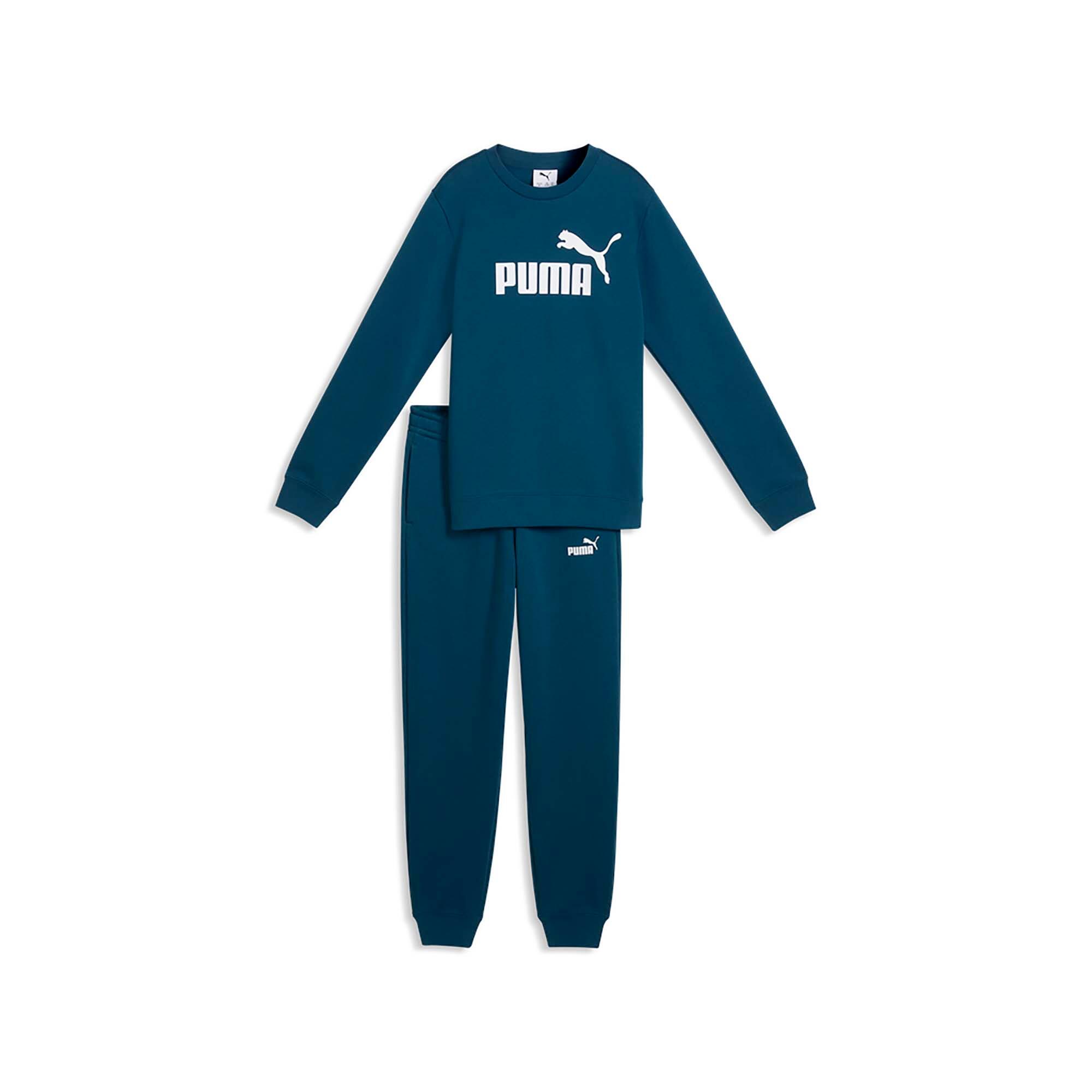 PUMA picture