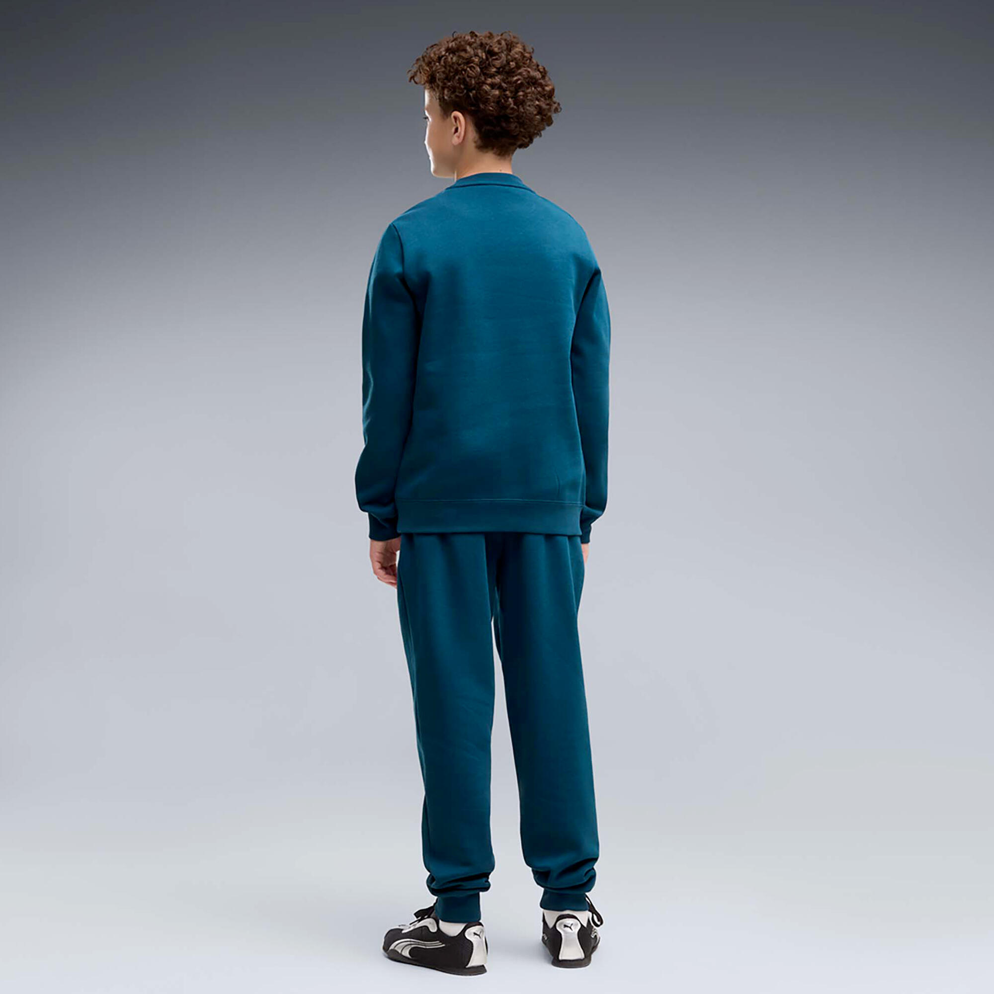 Puma Ess No.1 Logo Crew Sweat Pak Fl B Kind 3/4