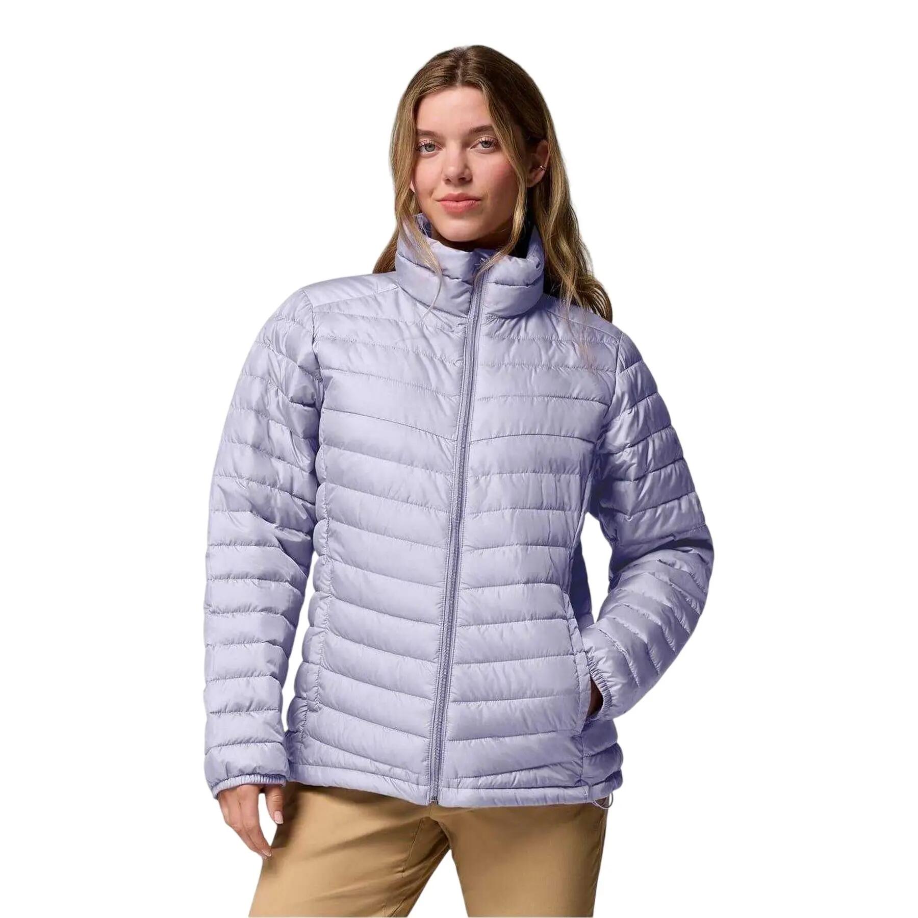 Womens/Ladies Chestnut Insulated Insulated Puffer Jacket (Blue) 2/3