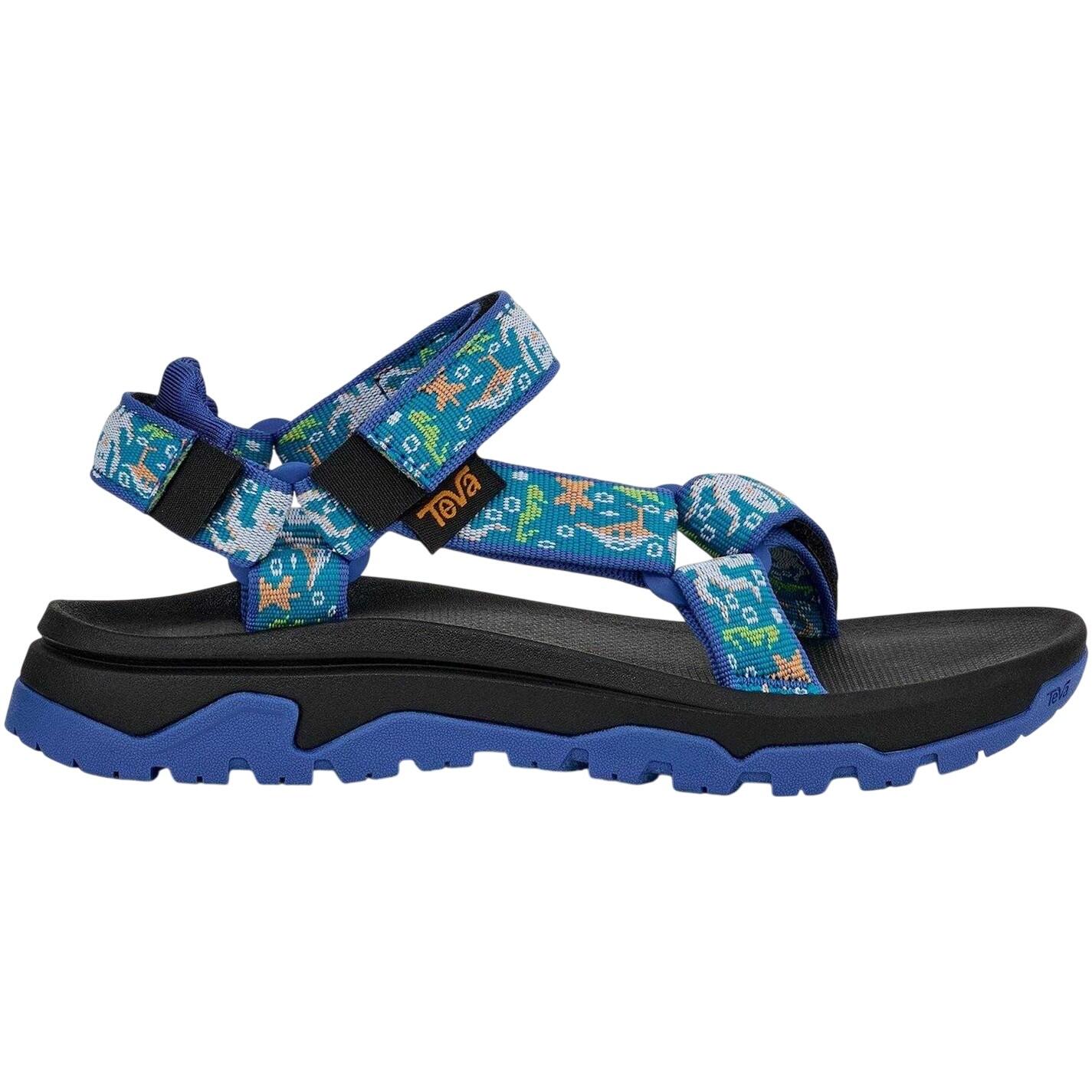 TEVA picture