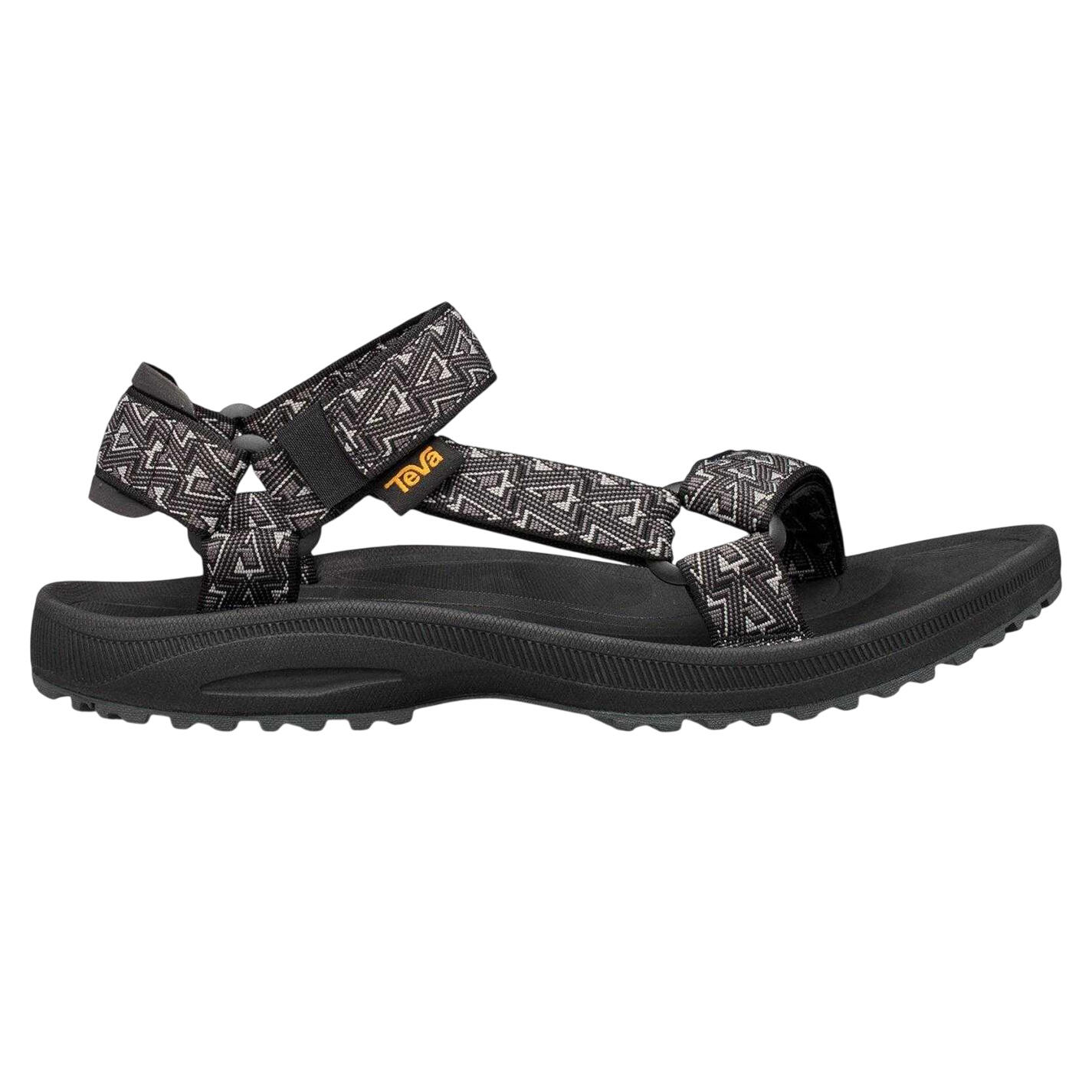 TEVA picture