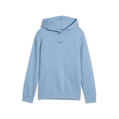 Puma ess small no.1 logo centered hoodie fl b sweater kind