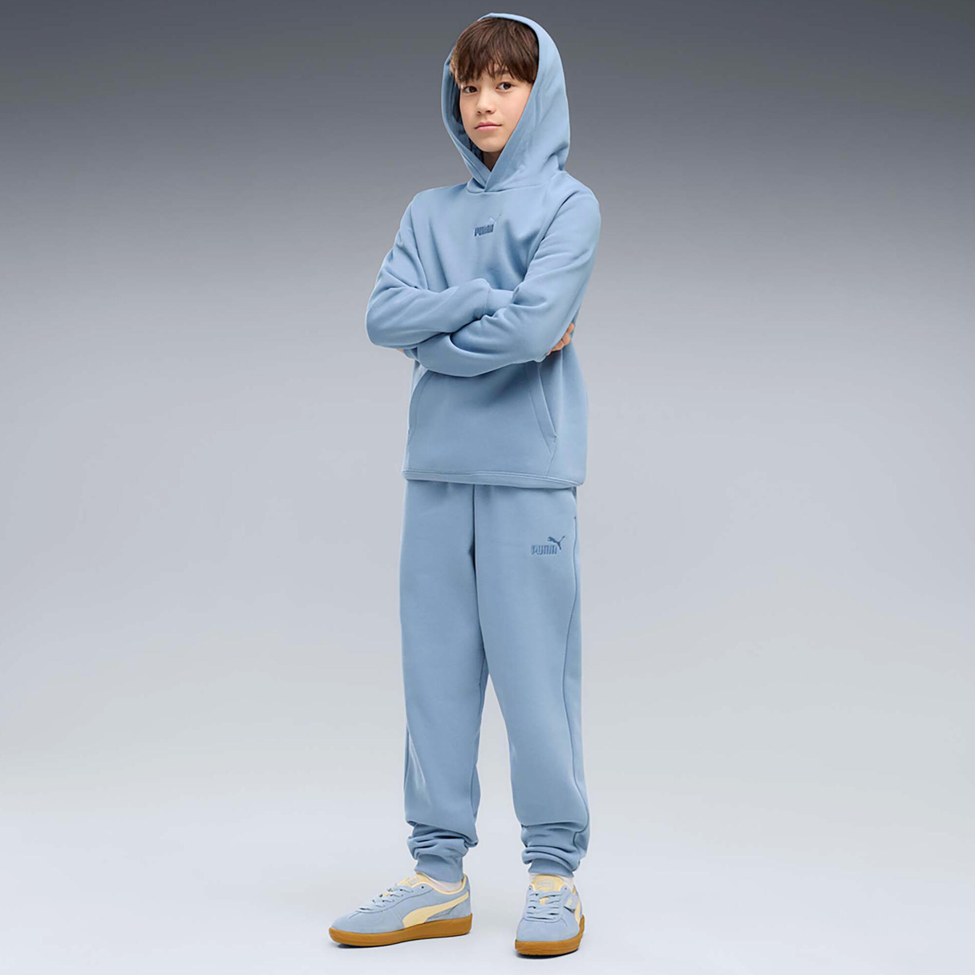 Sweat À Capuche Puma Ess Small No.1 Logo Centered Hoodie Fl B Enfant 4/4