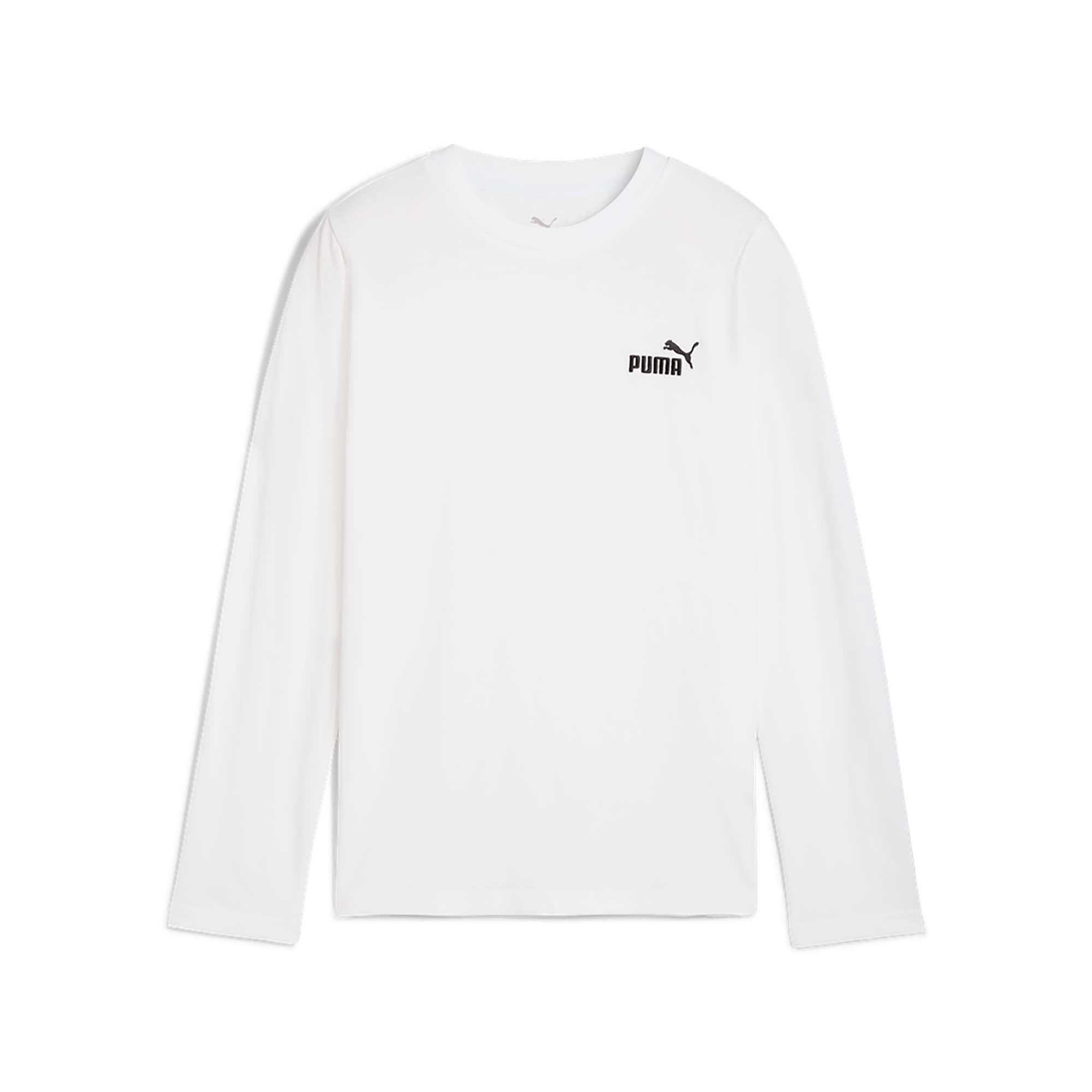 PUMA picture