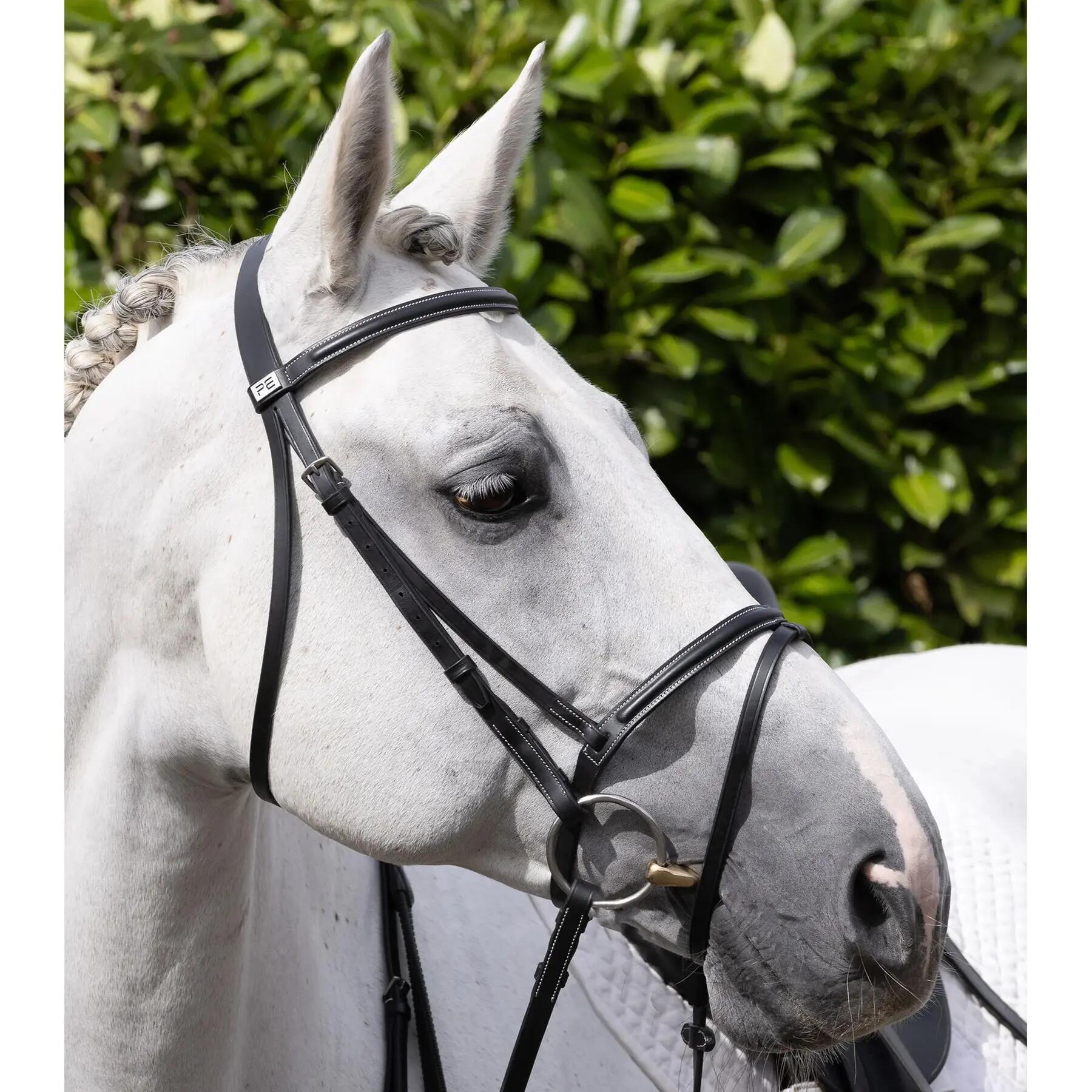 Frontale per cavallo Premier Equine Raised Jump 6/6