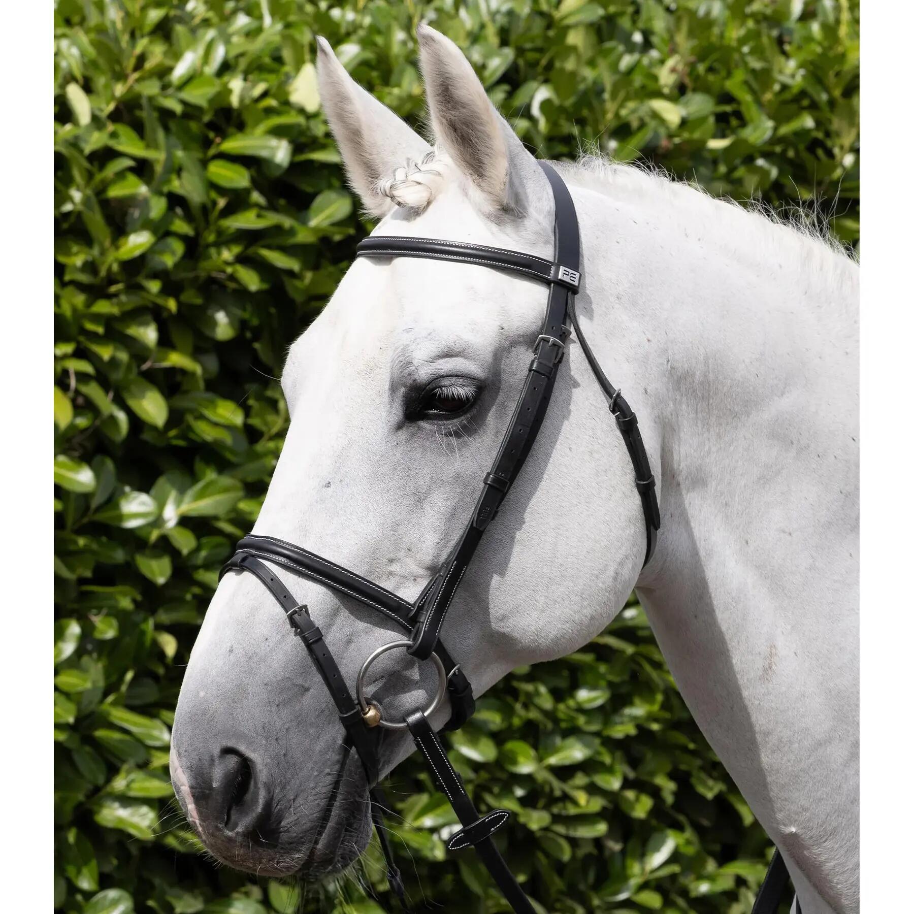 Frontale per cavallo Premier Equine Raised Jump 5/6
