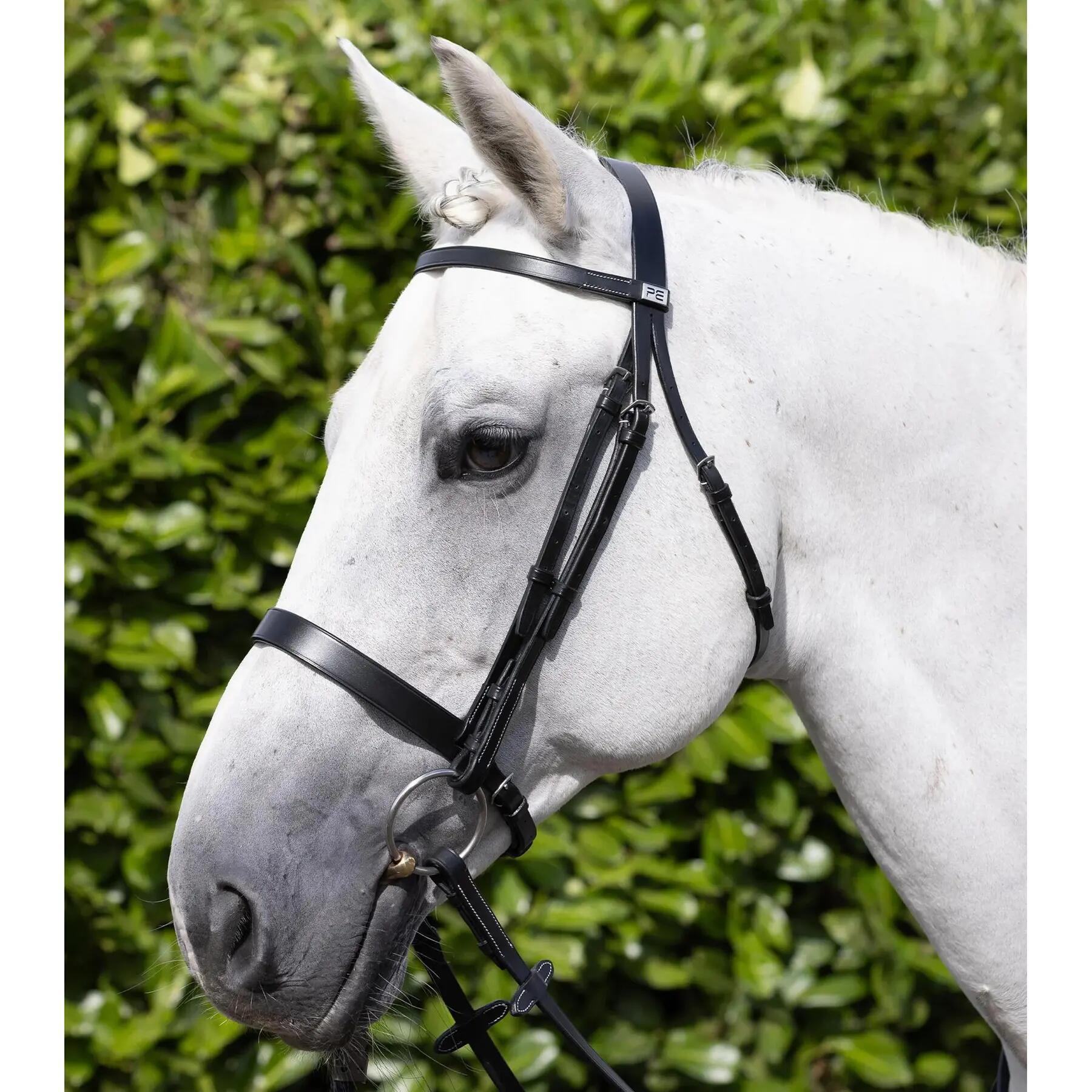 Cabezada de montar Premier Equine Hunter 5/5