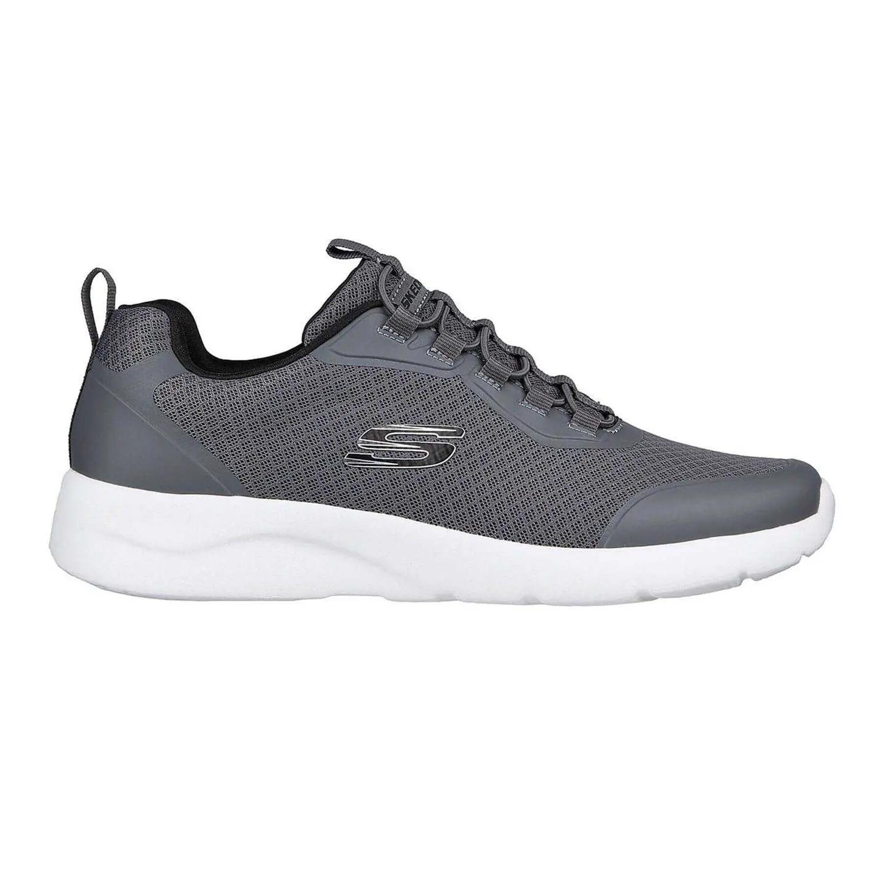 Buty Dynamight 2.0 - Setner Rozmiar 46 - 894133-CHAR Szary