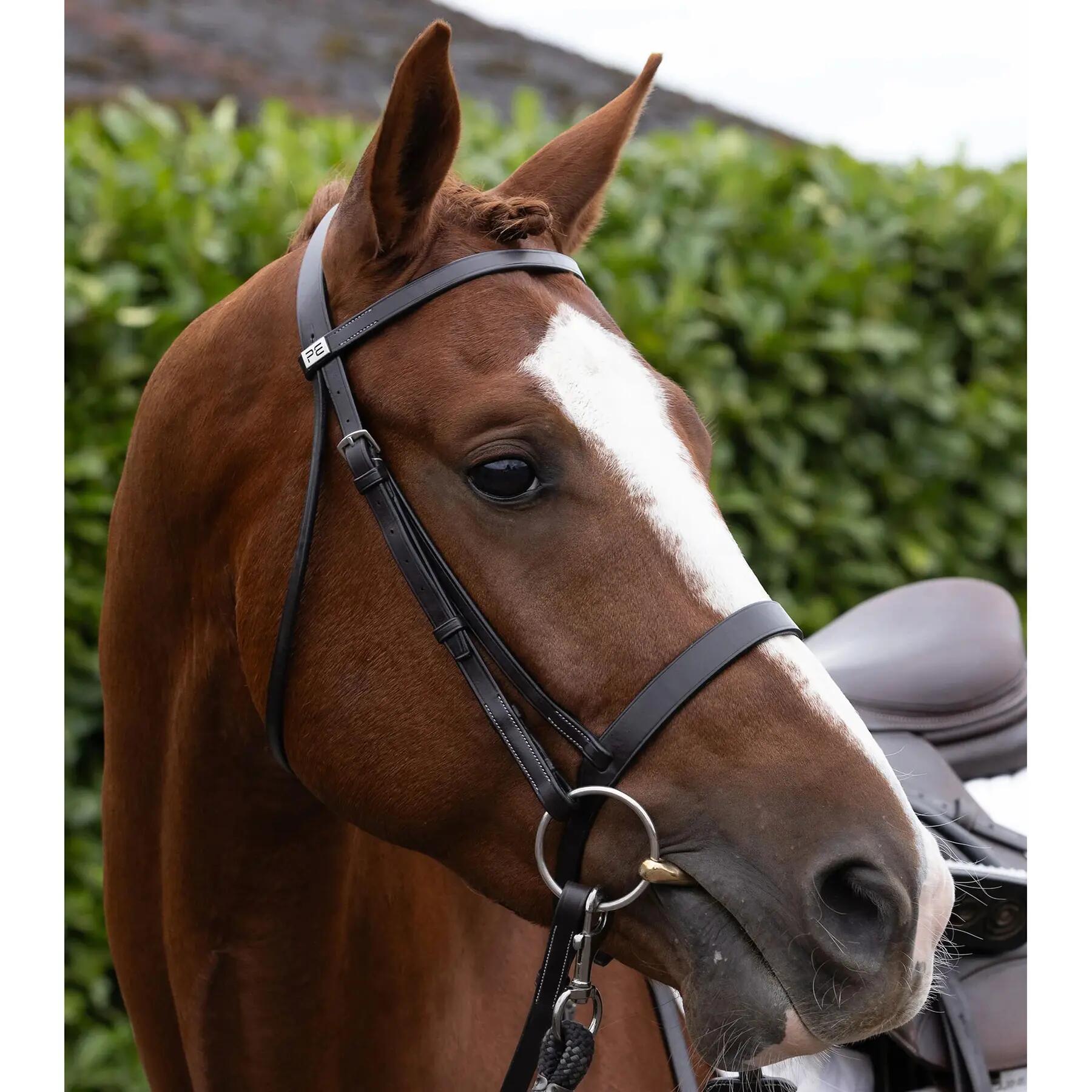 Frontale per cavallo Premier Equine Hunter 6/6